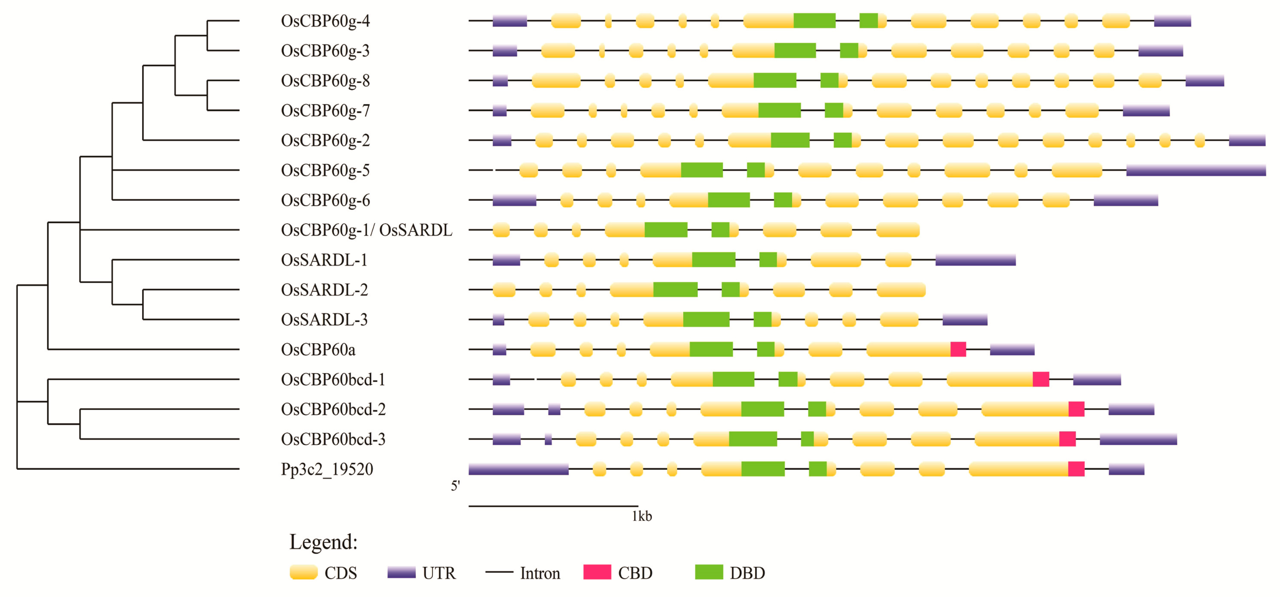 Agronomy 12 03060 g002 Agronomy 12 03060 g002