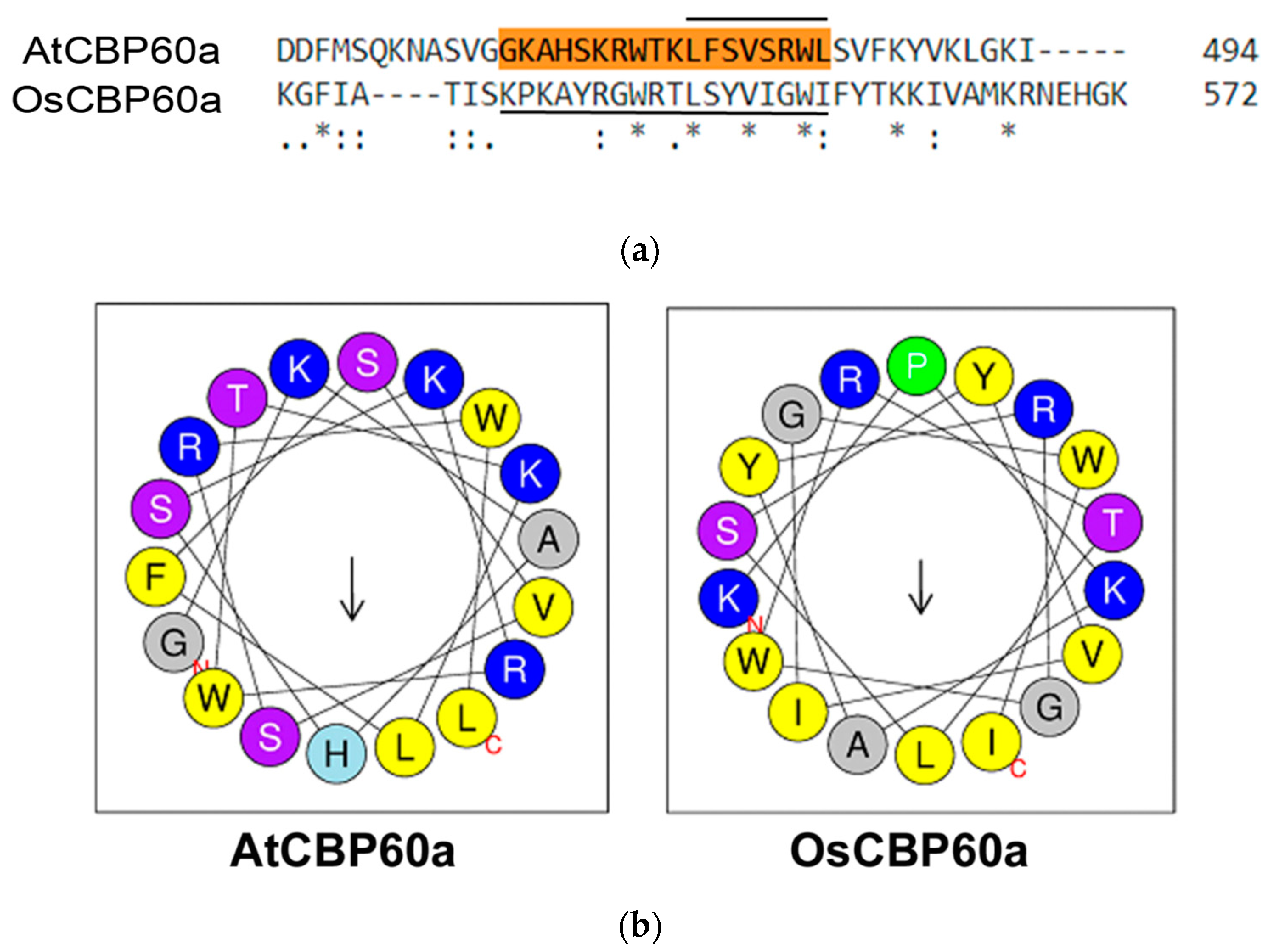 Agronomy 12 03060 g004 Agronomy 12 03060 g004
