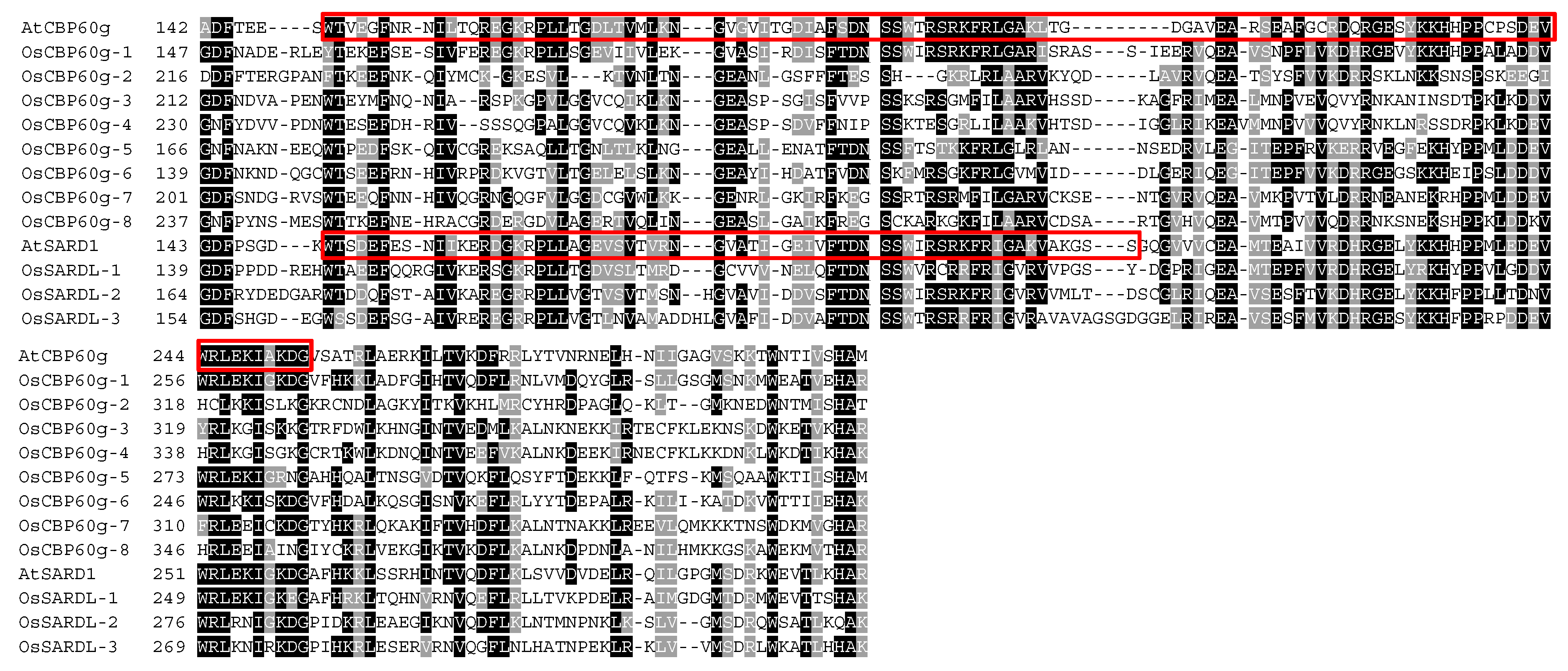 Agronomy 12 03060 g005 Agronomy 12 03060 g005