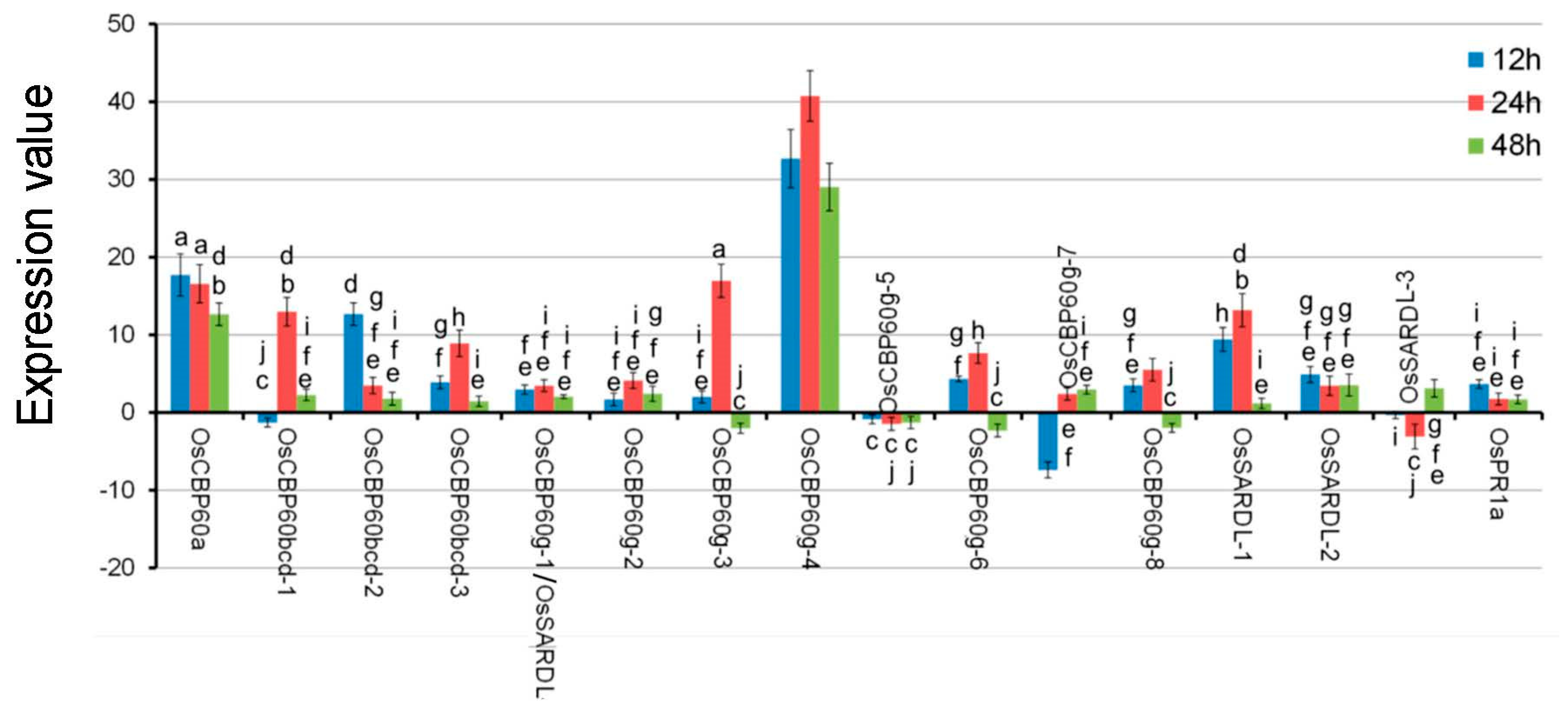 Agronomy 12 03060 g008 Agronomy 12 03060 g008