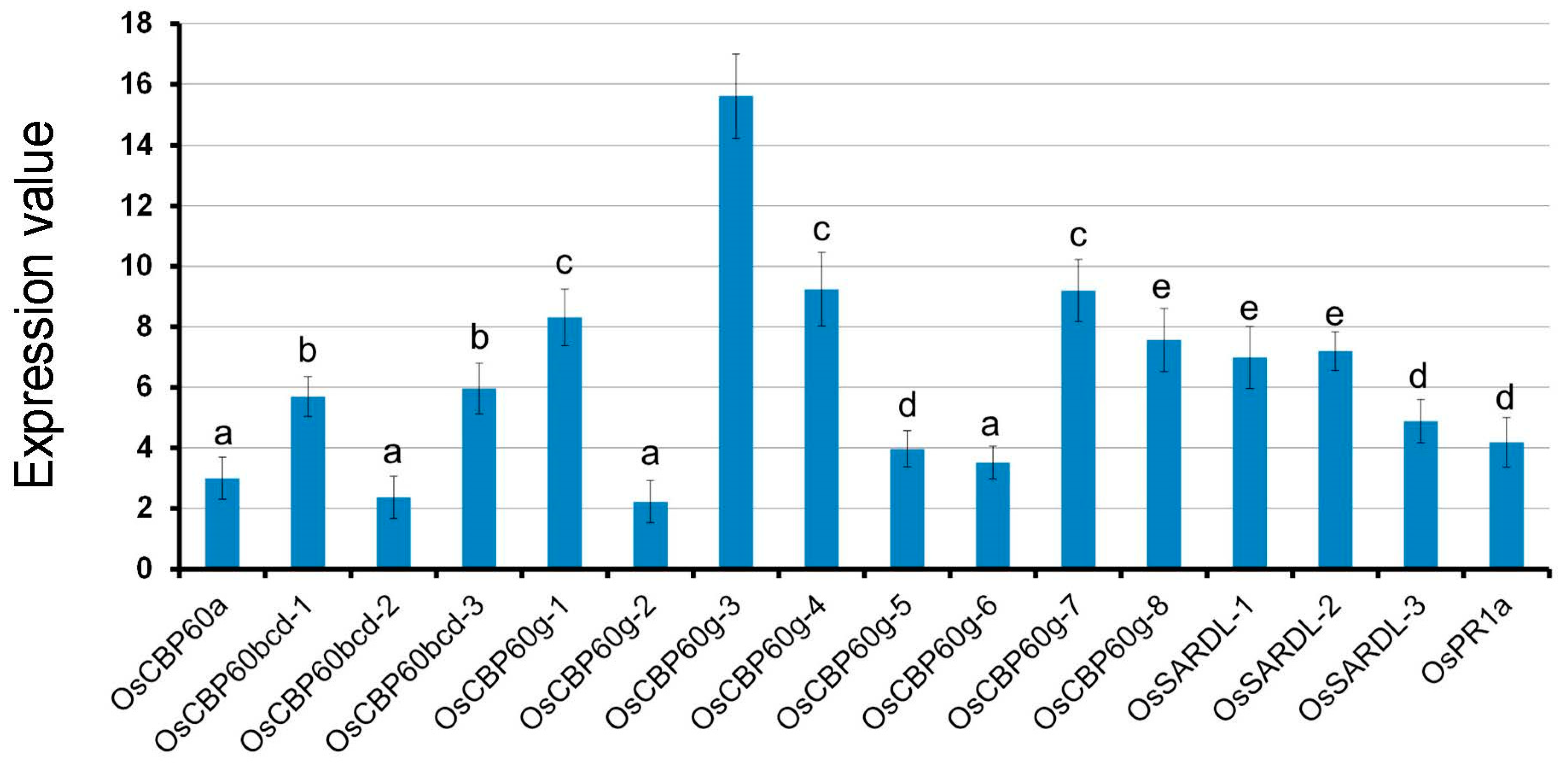Agronomy 12 03060 g010 Agronomy 12 03060 g010