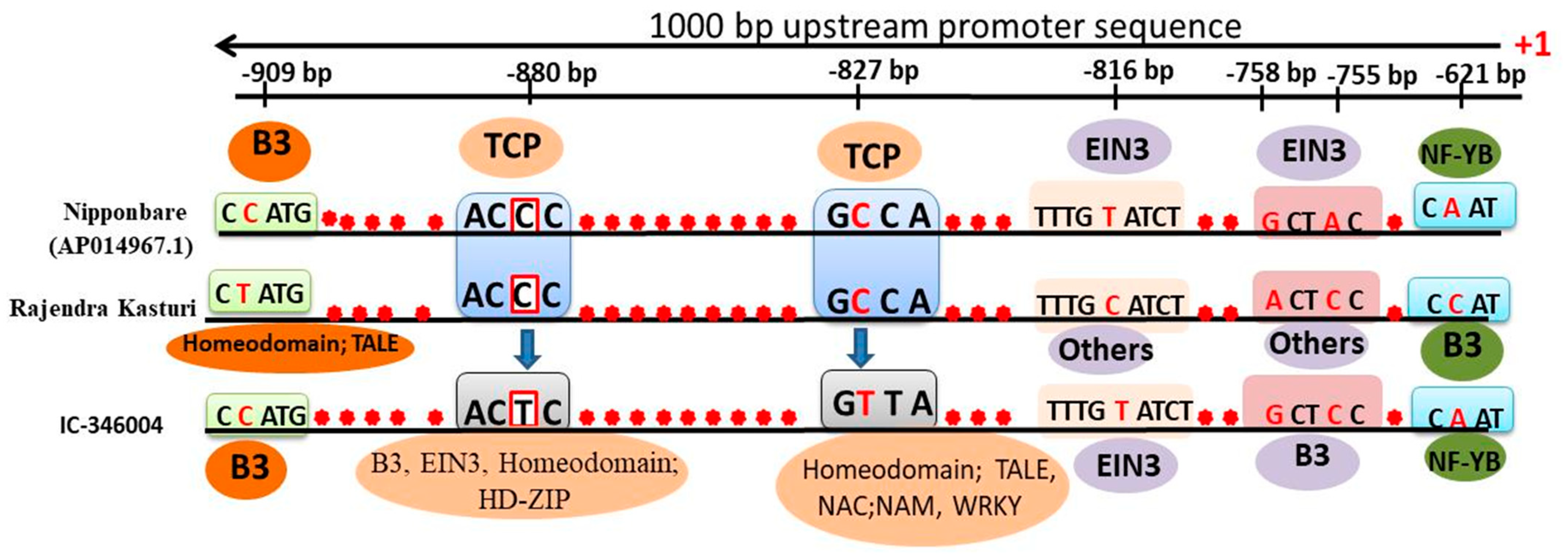 Agronomy 12 03060 g012 Agronomy 12 03060 g012