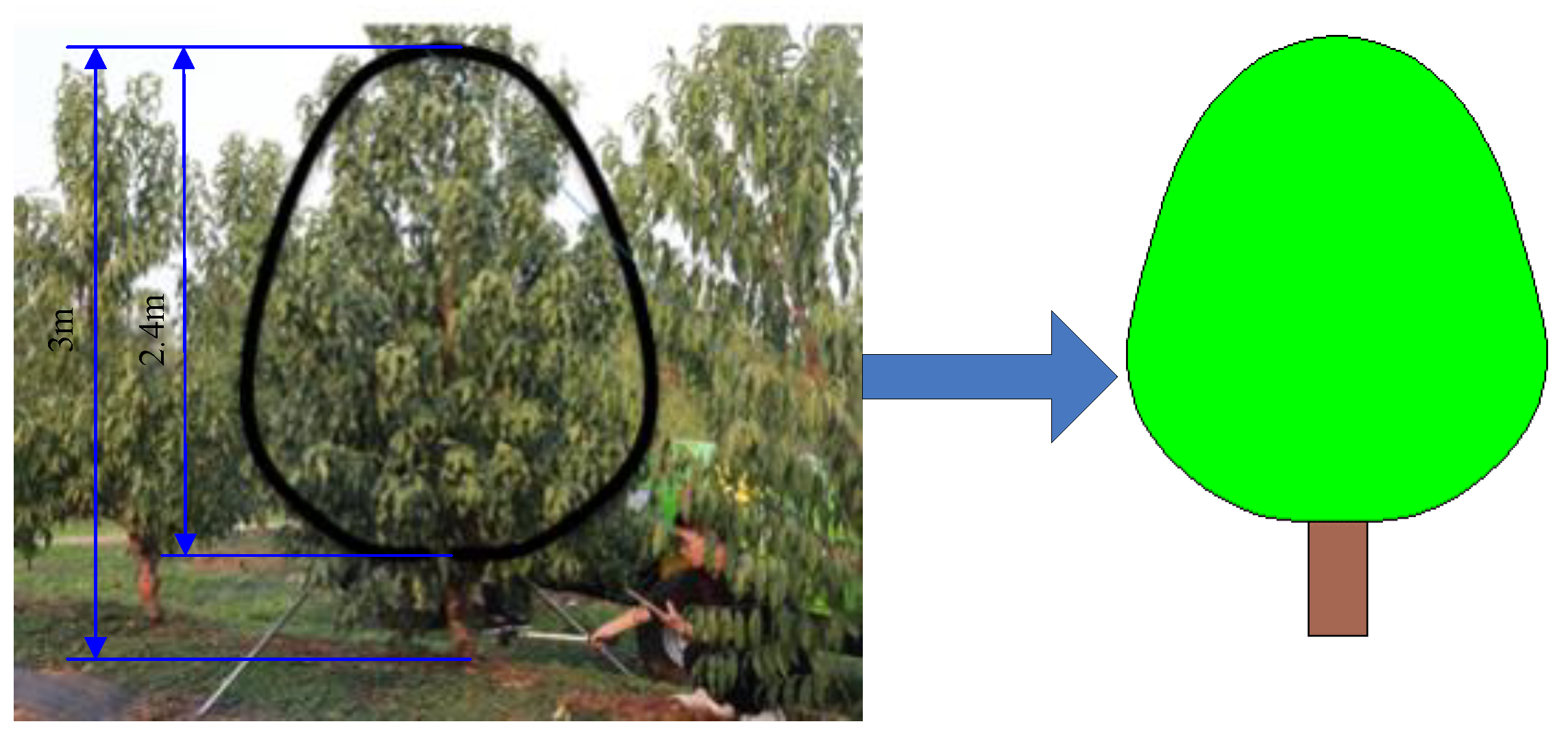 Agronomy 12 03072 g002