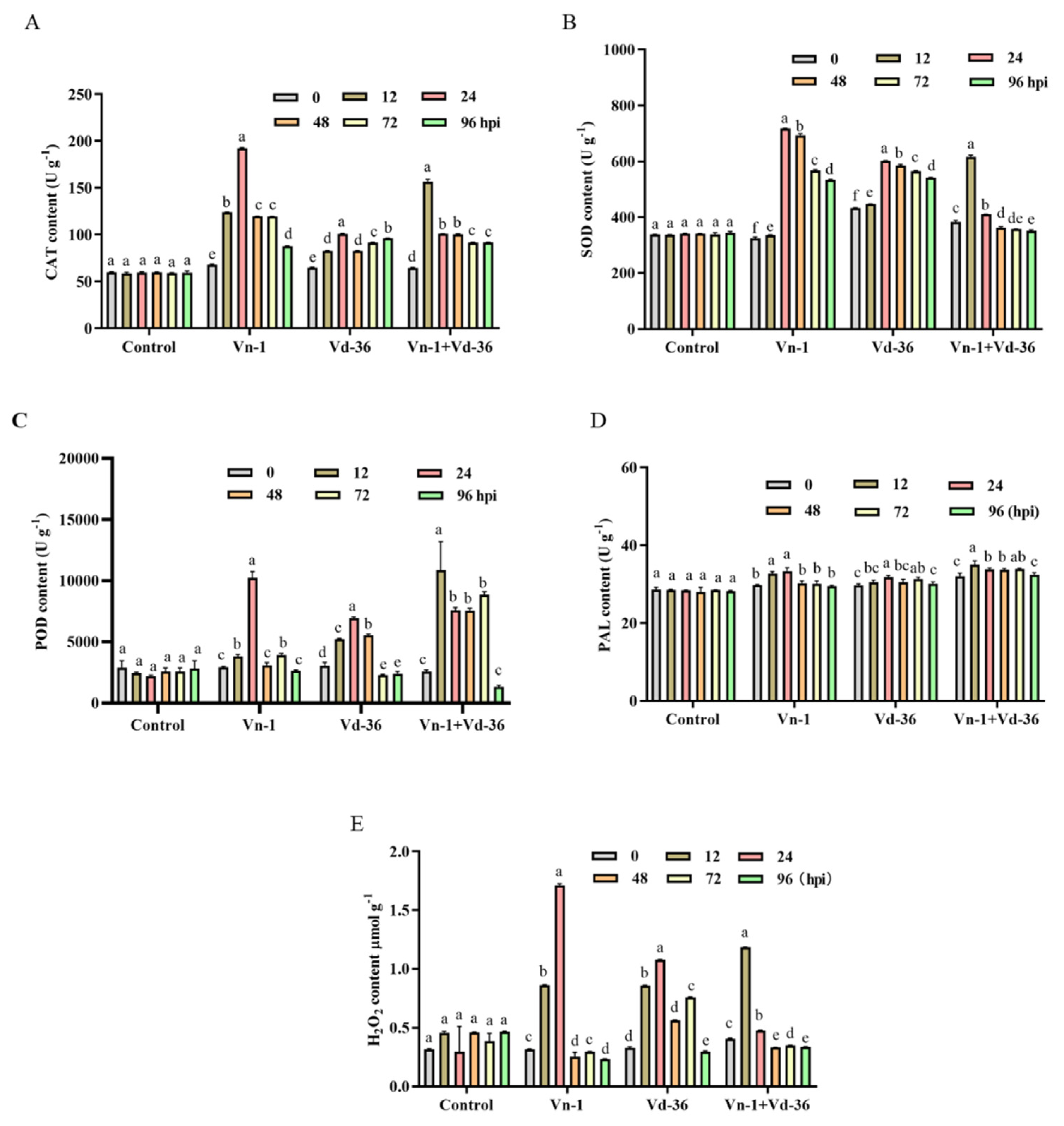 Agronomy 12 03082 g003