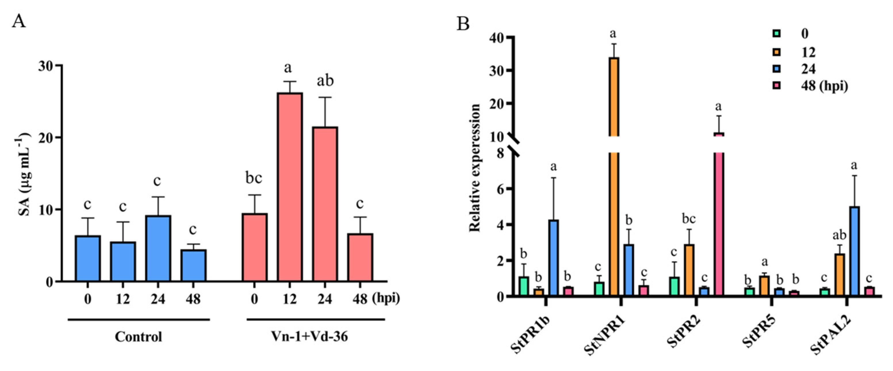 Agronomy 12 03082 g004