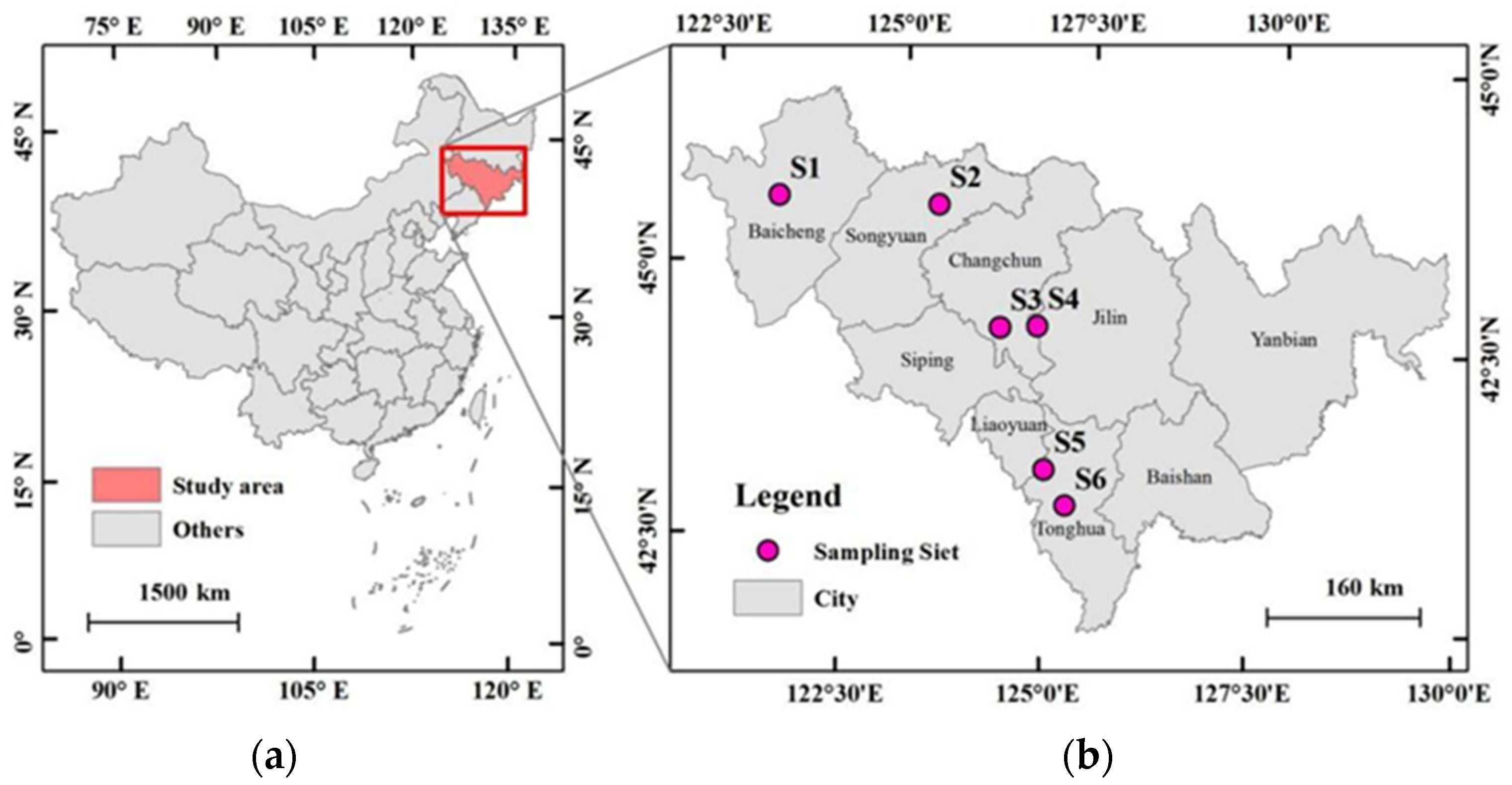 Agronomy 12 03090 g001