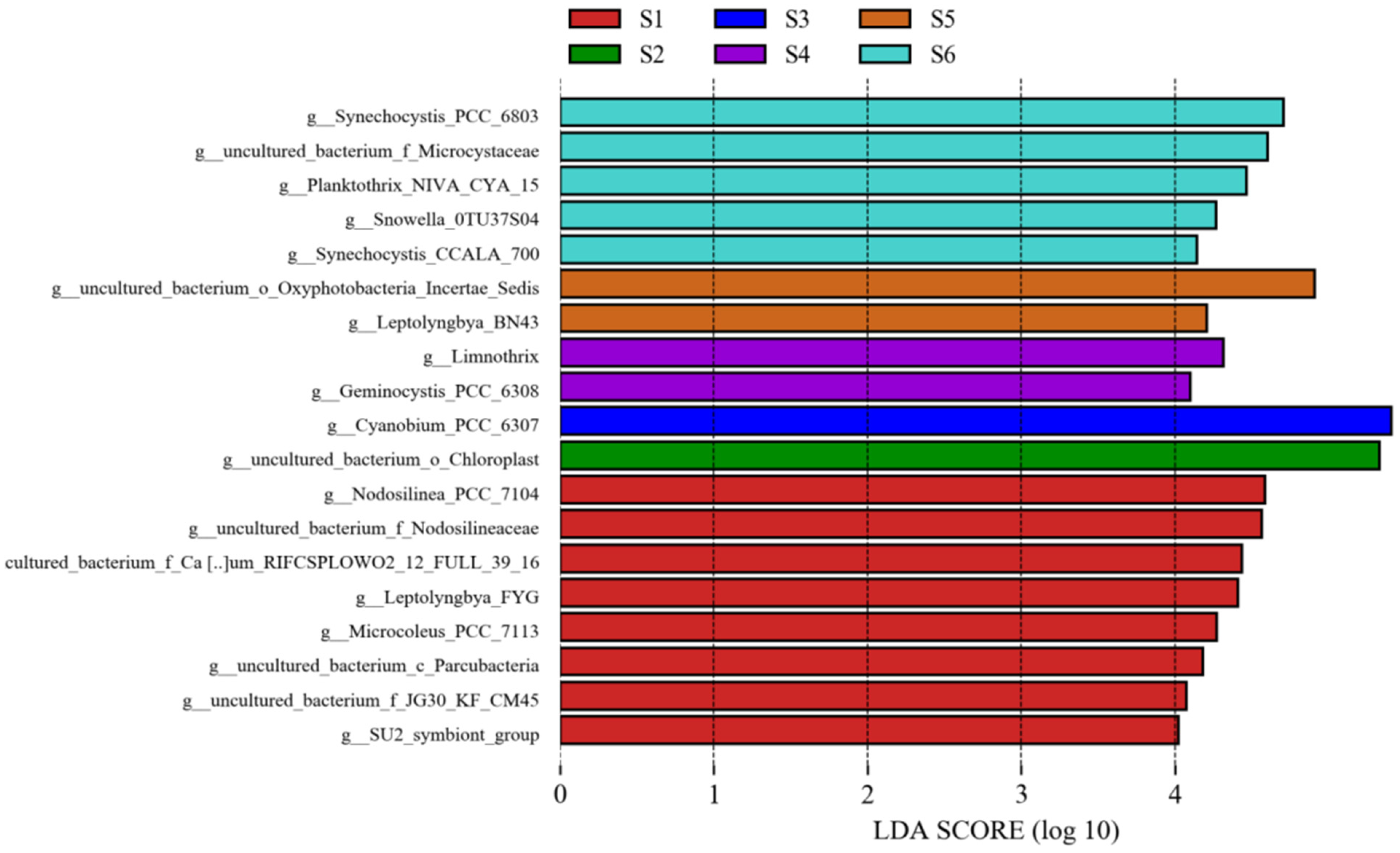 Agronomy 12 03090 g005