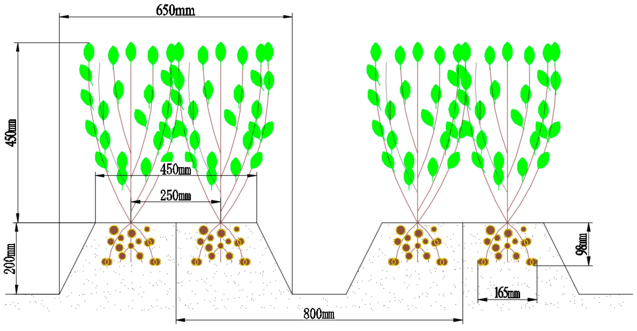Agronomy 12 03094 g007