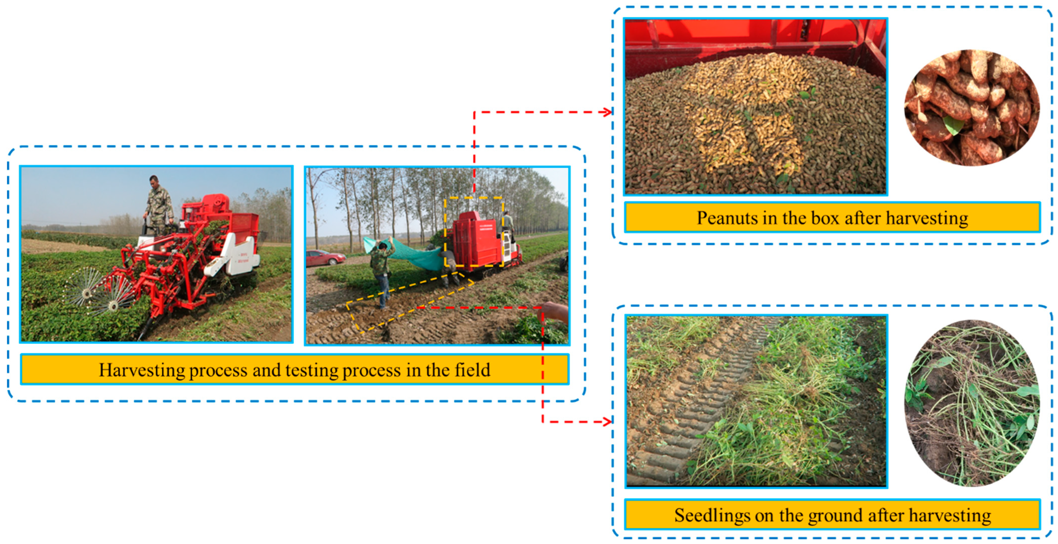 Agronomy 12 03094 g013