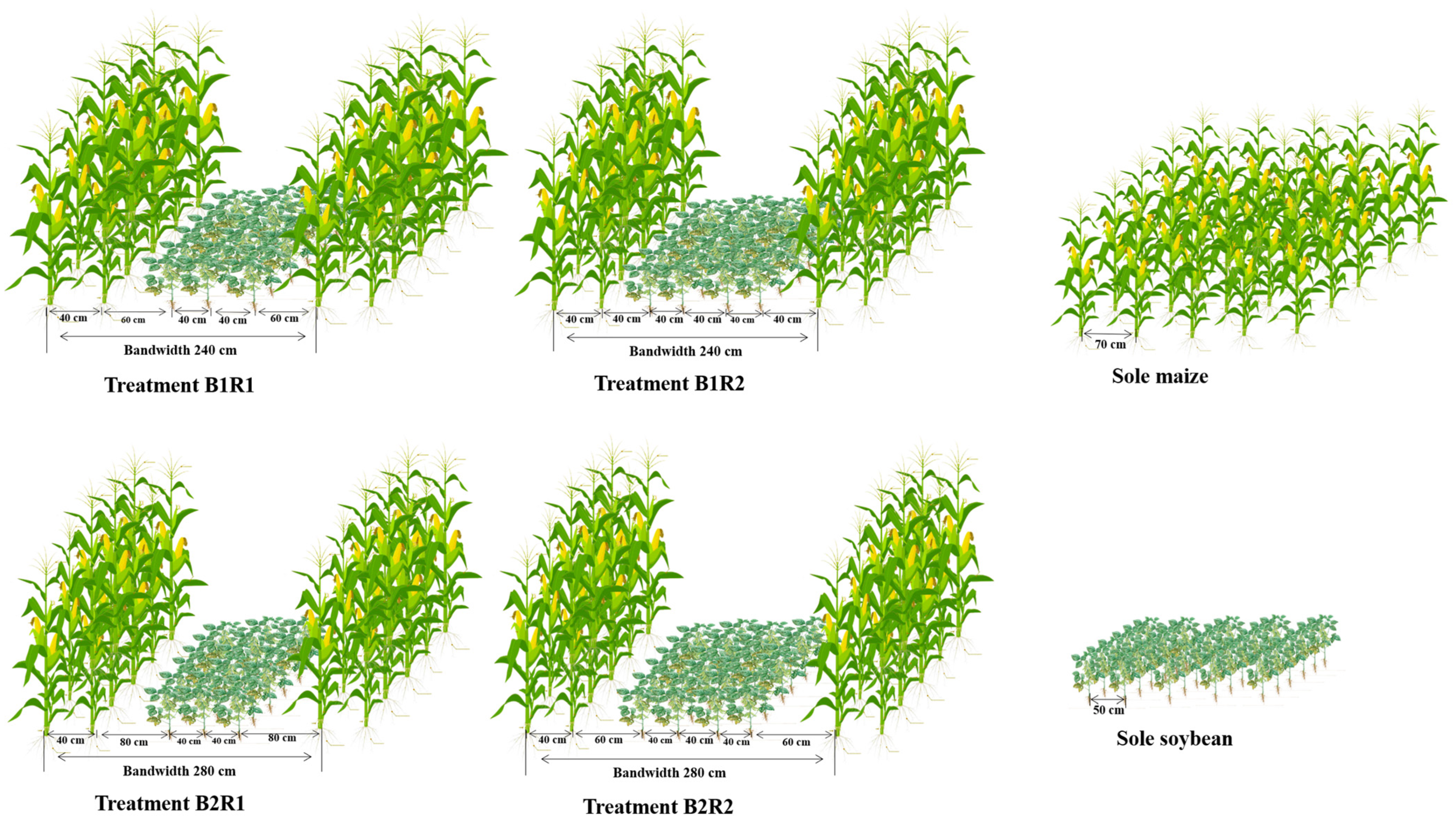Agronomy 12 03095 g002 Agronomy 12 03095 g002