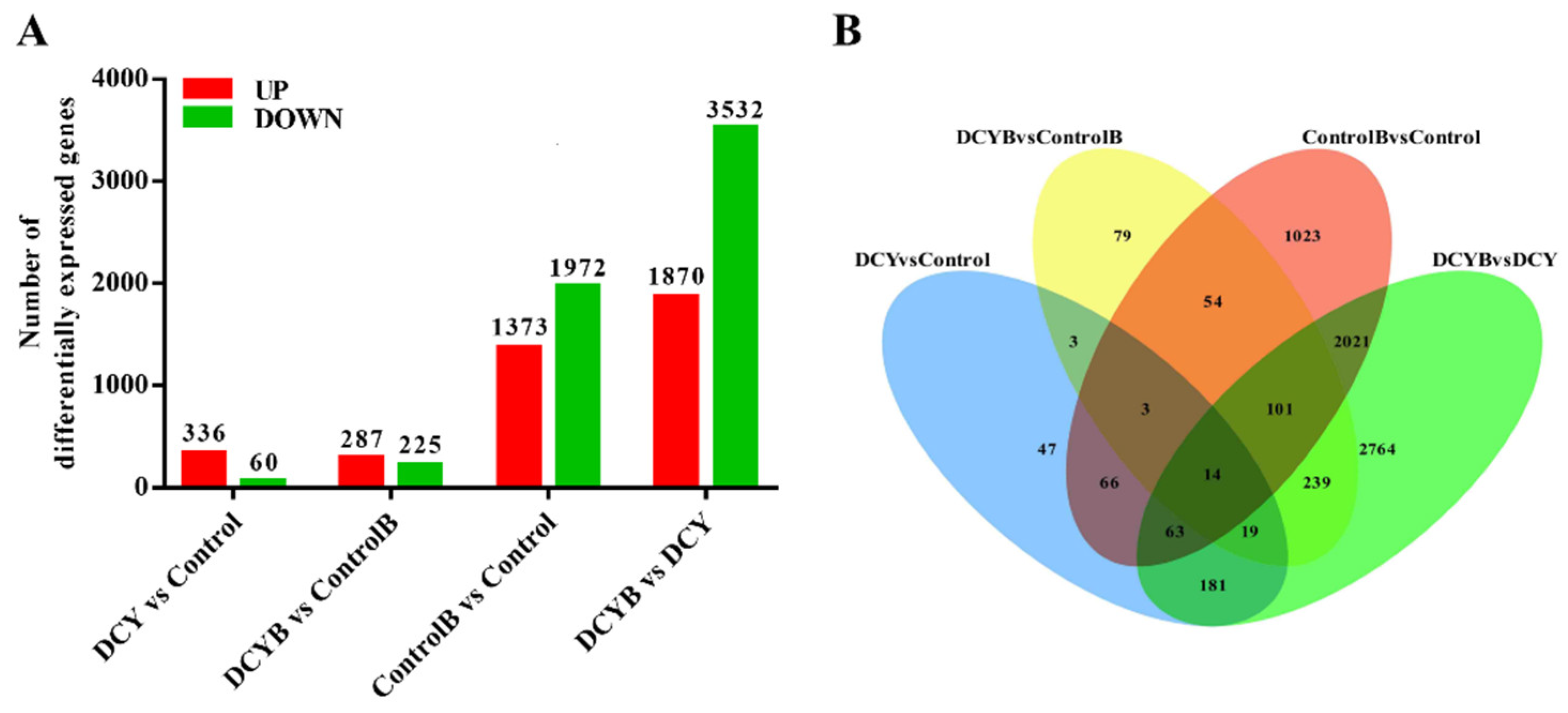 Agronomy 12 03098 g004