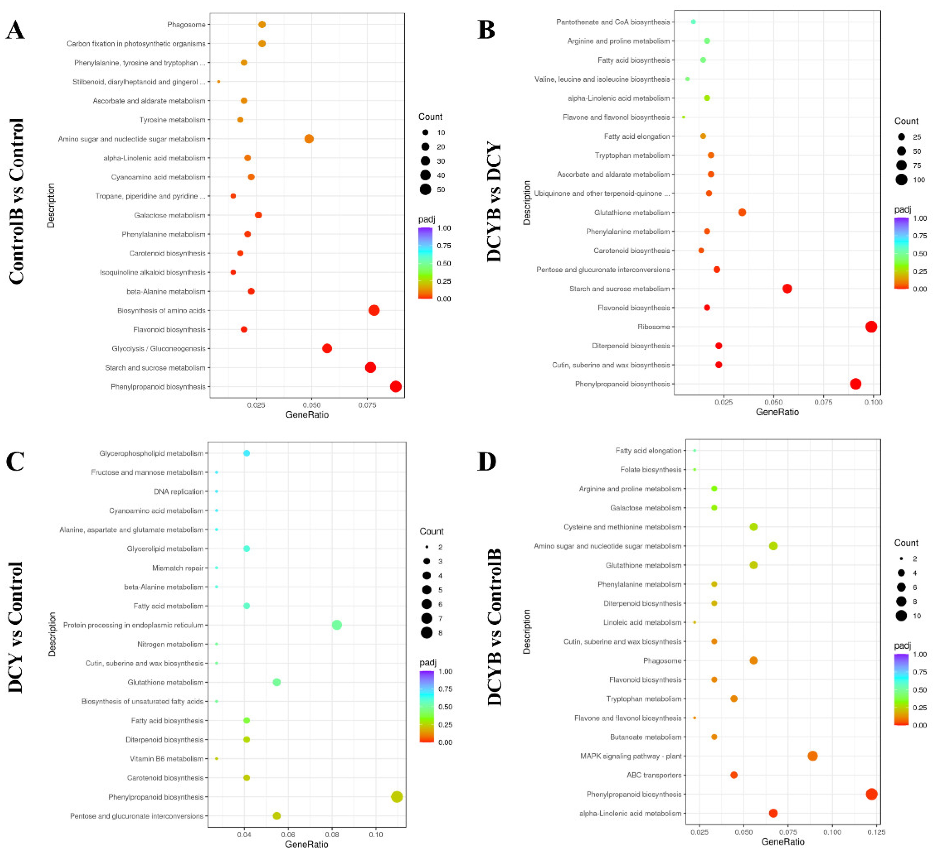 Agronomy 12 03098 g006
