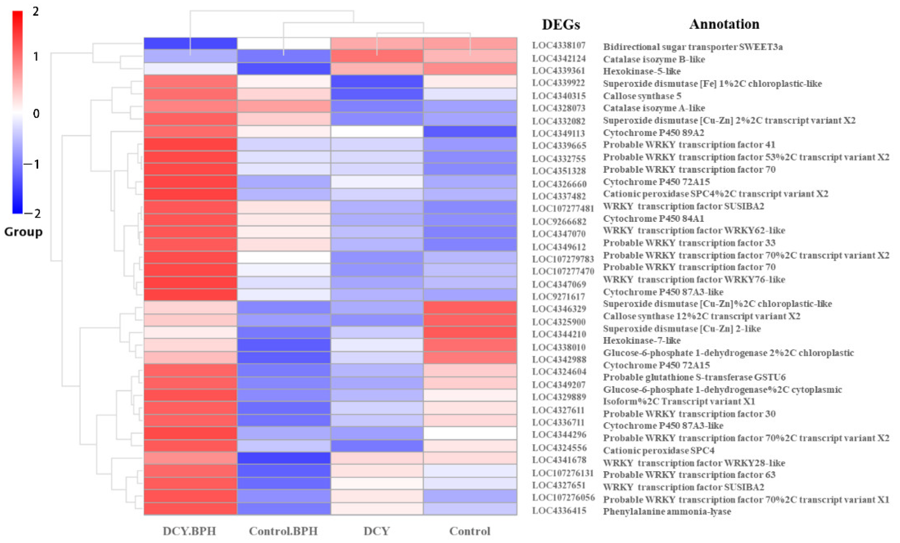 Agronomy 12 03098 g007