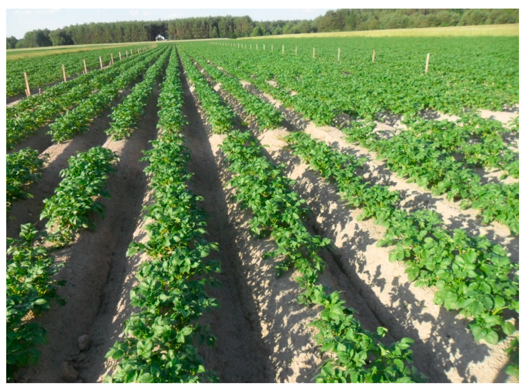 Agronomy 12 03102 g002