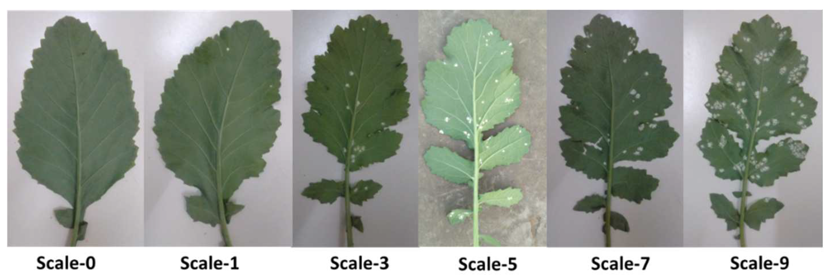 Agronomy 12 03122 g001 Agronomy 12 03122 g001