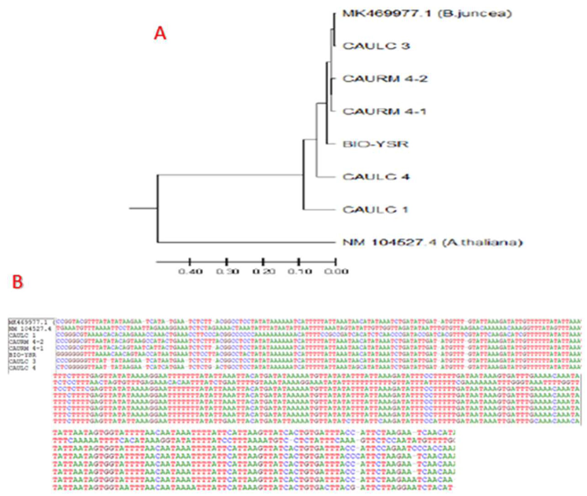 Agronomy 12 03122 g005 Agronomy 12 03122 g005