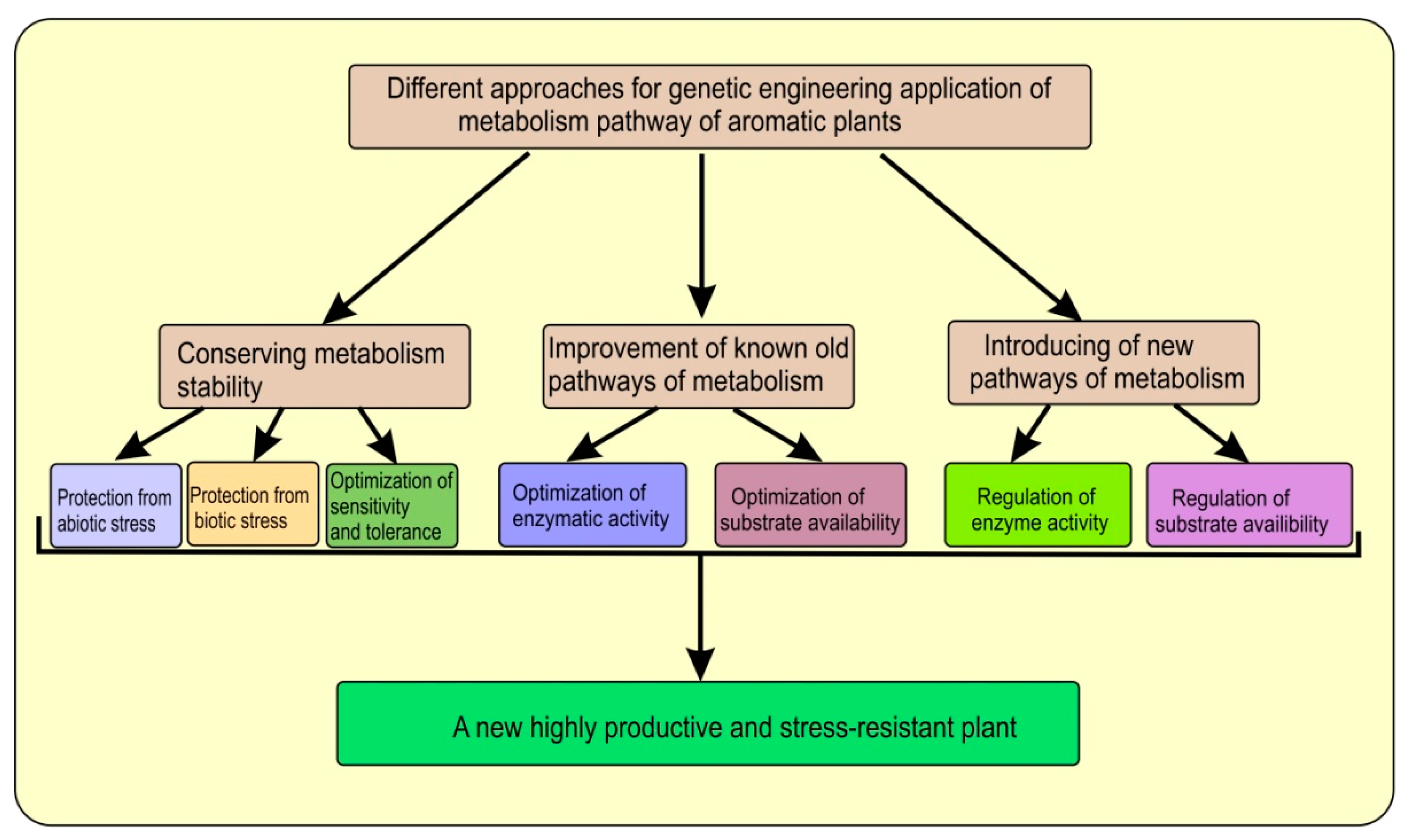 Agronomy free full text aromatic plants metabolic engineering a review