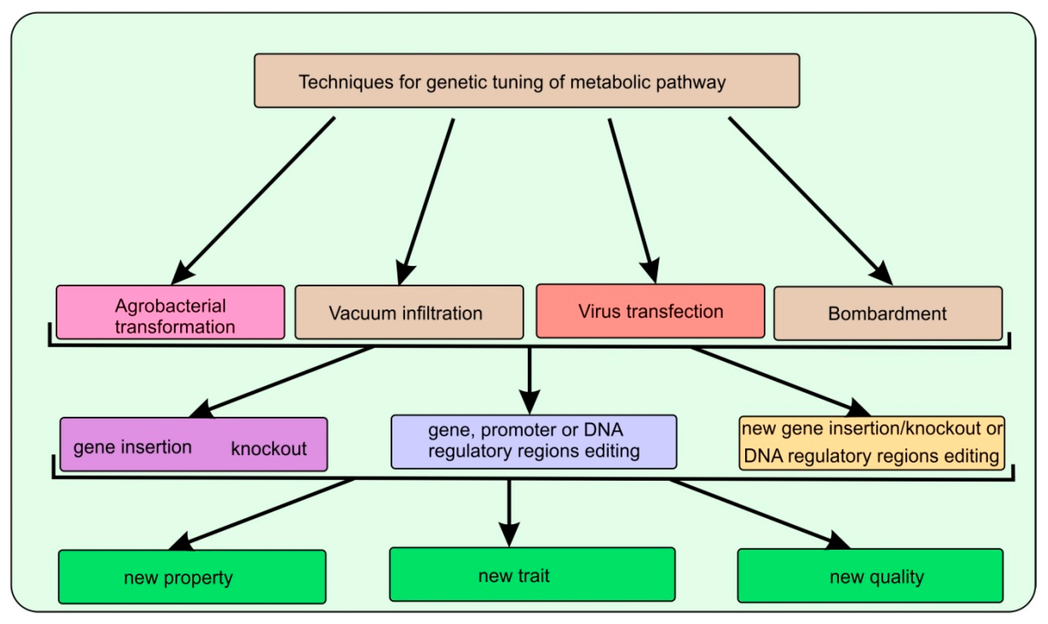 Agronomy 12 03131 g002 Agronomy 12 03131 g002