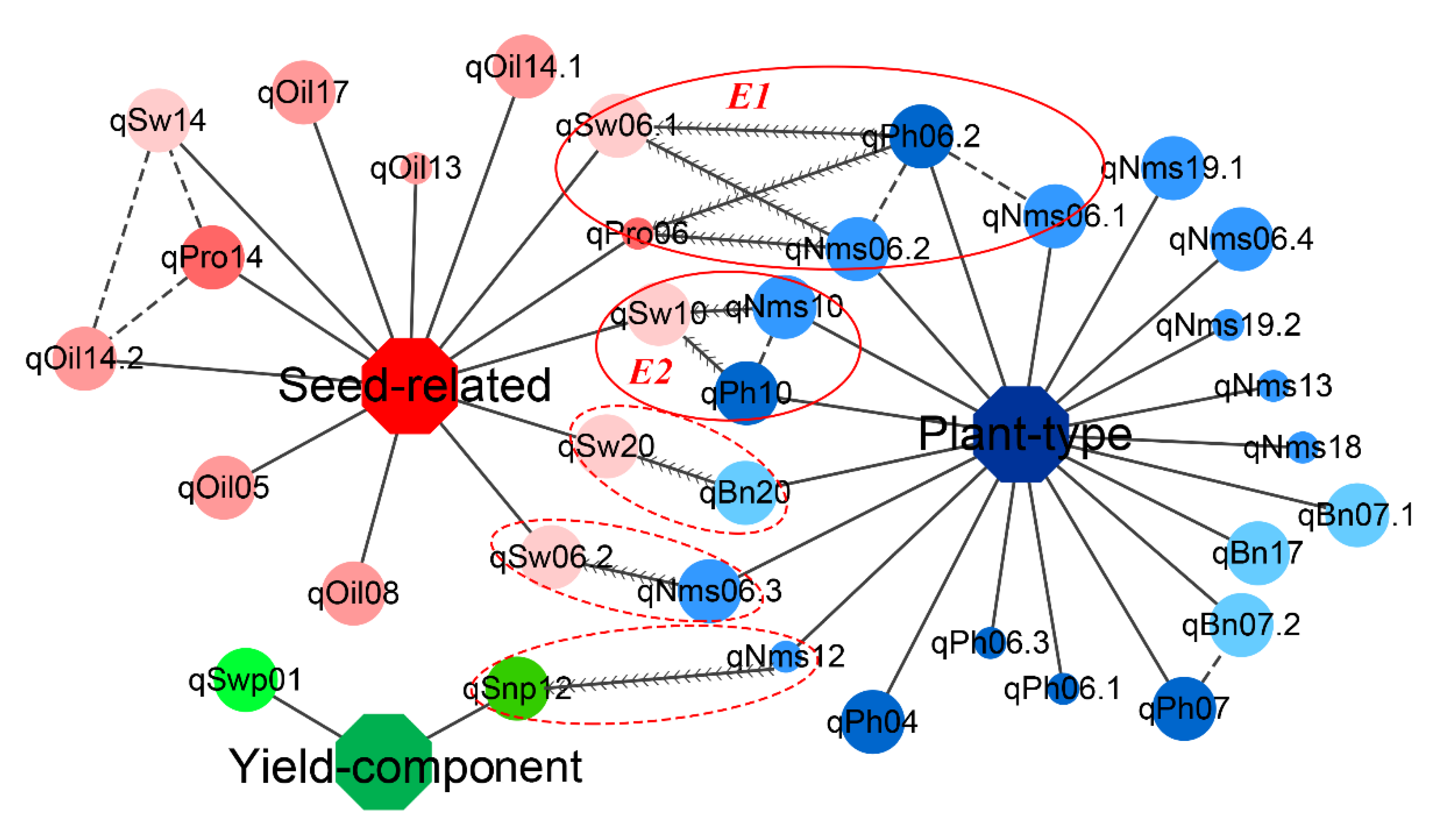 Agronomy Free FullText Detection of Hub QTLs Underlying the