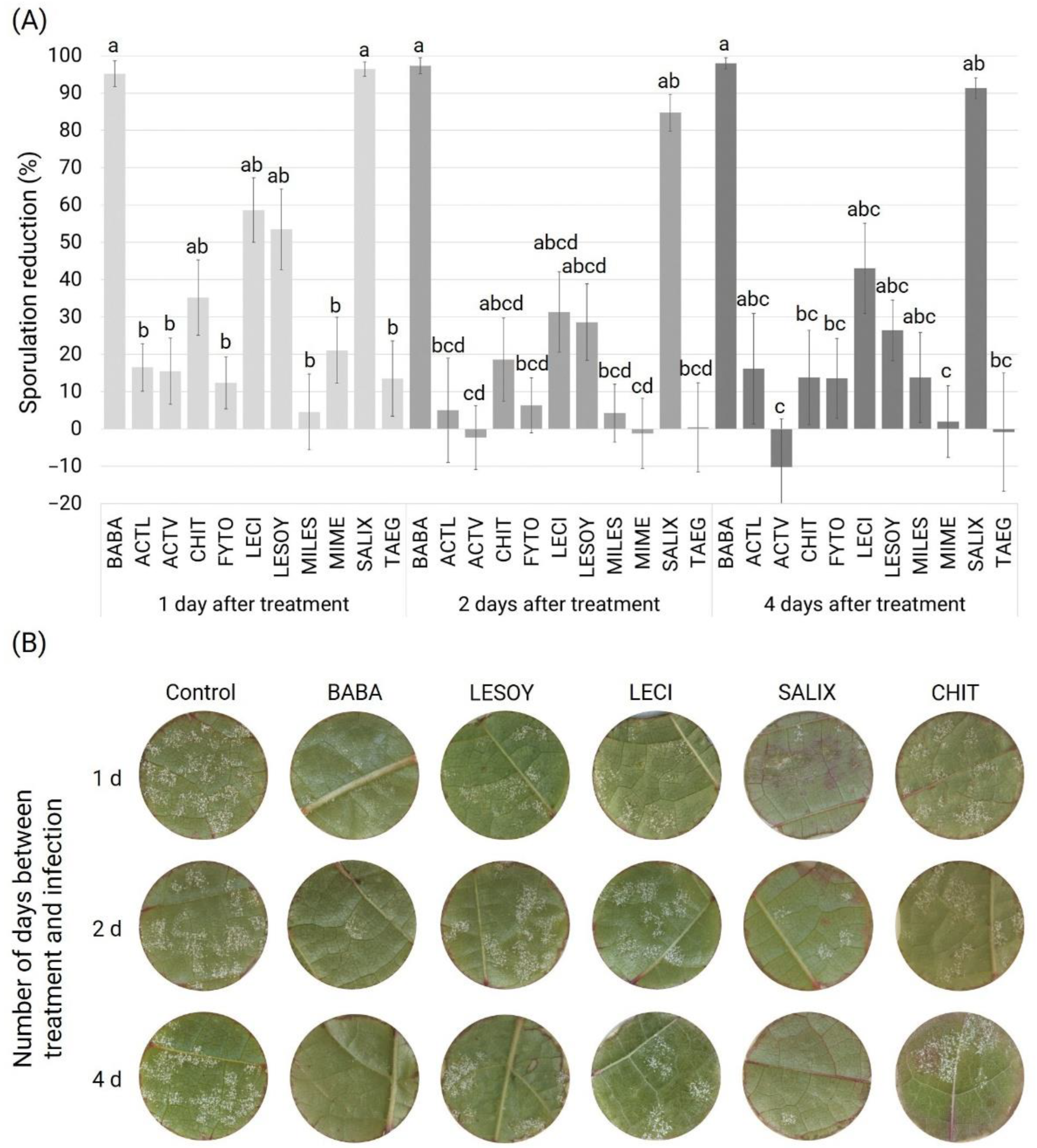 Agronomy 12 03139 g001 Agronomy 12 03139 g001