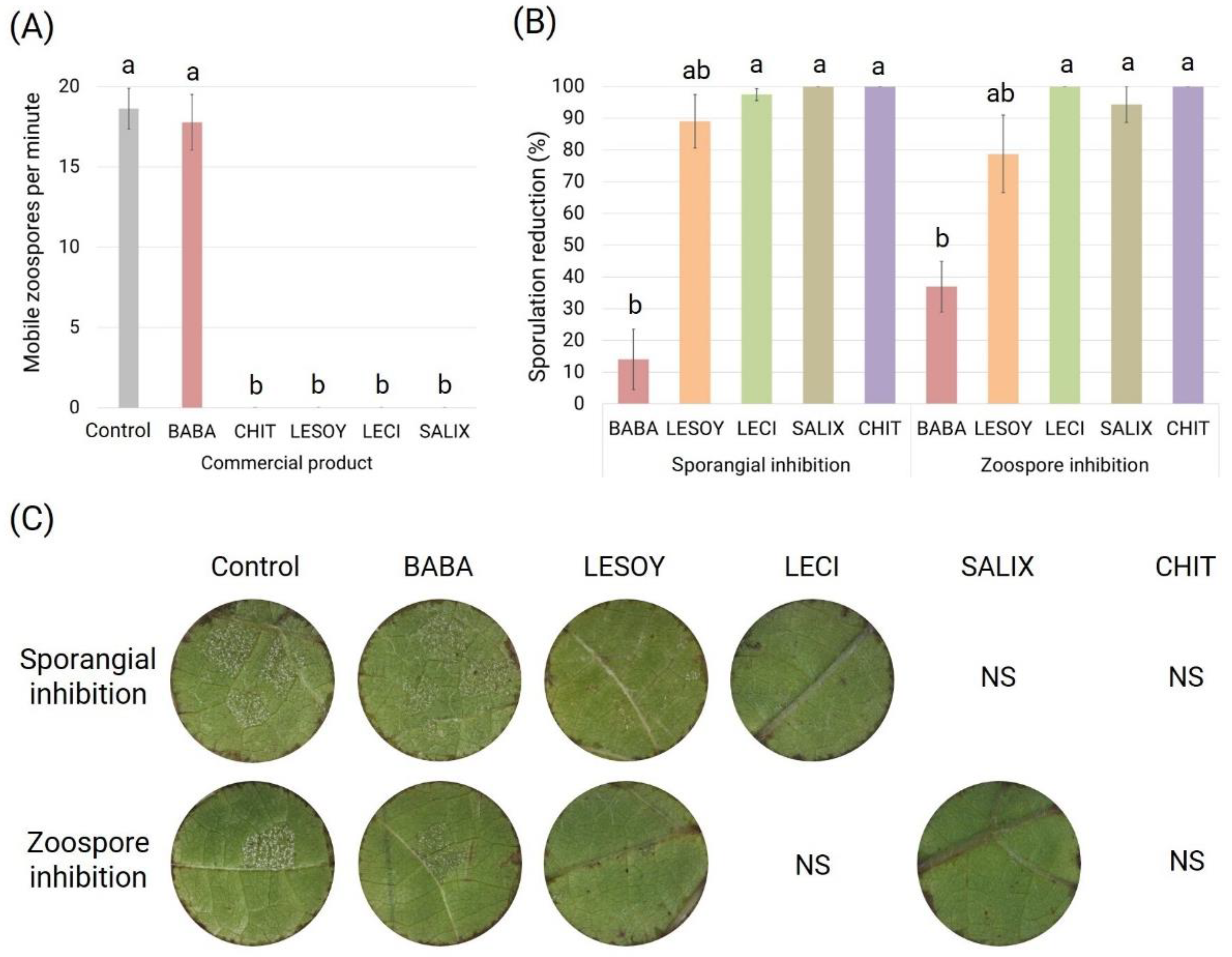 Agronomy 12 03139 g002 Agronomy 12 03139 g002