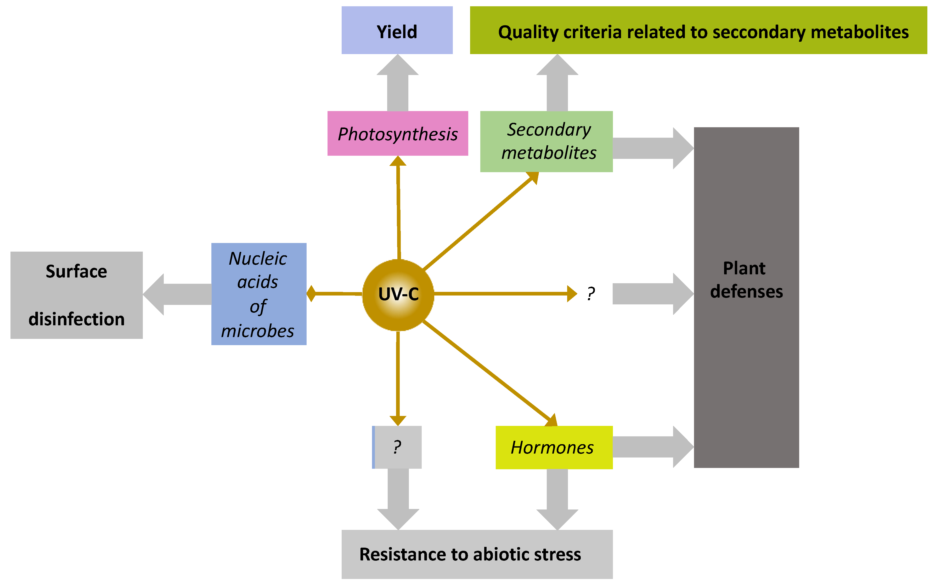 Agronomy 12 03151 g001 Agronomy 12 03151 g001