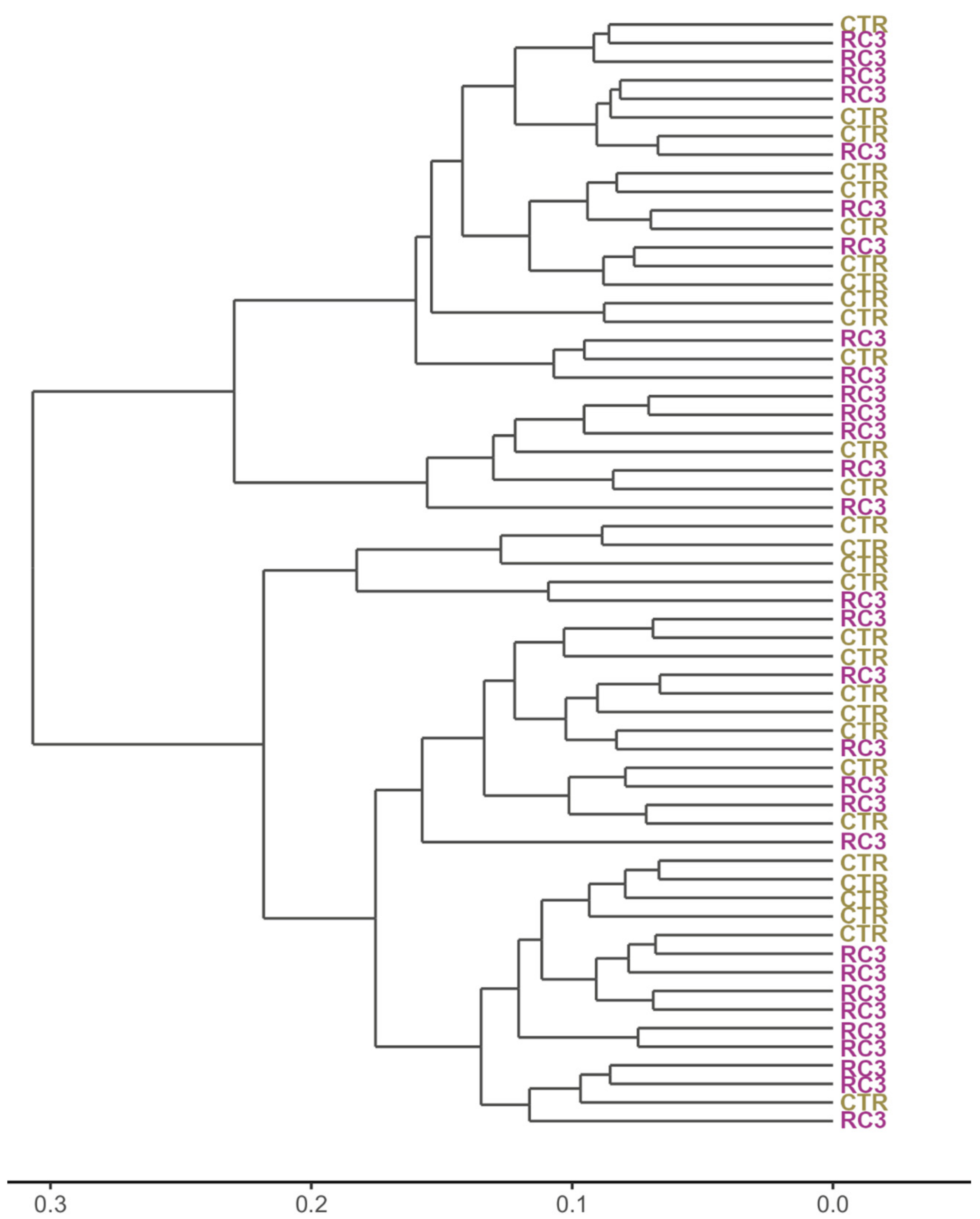 Agronomy 12 03153 g005 Agronomy 12 03153 g005