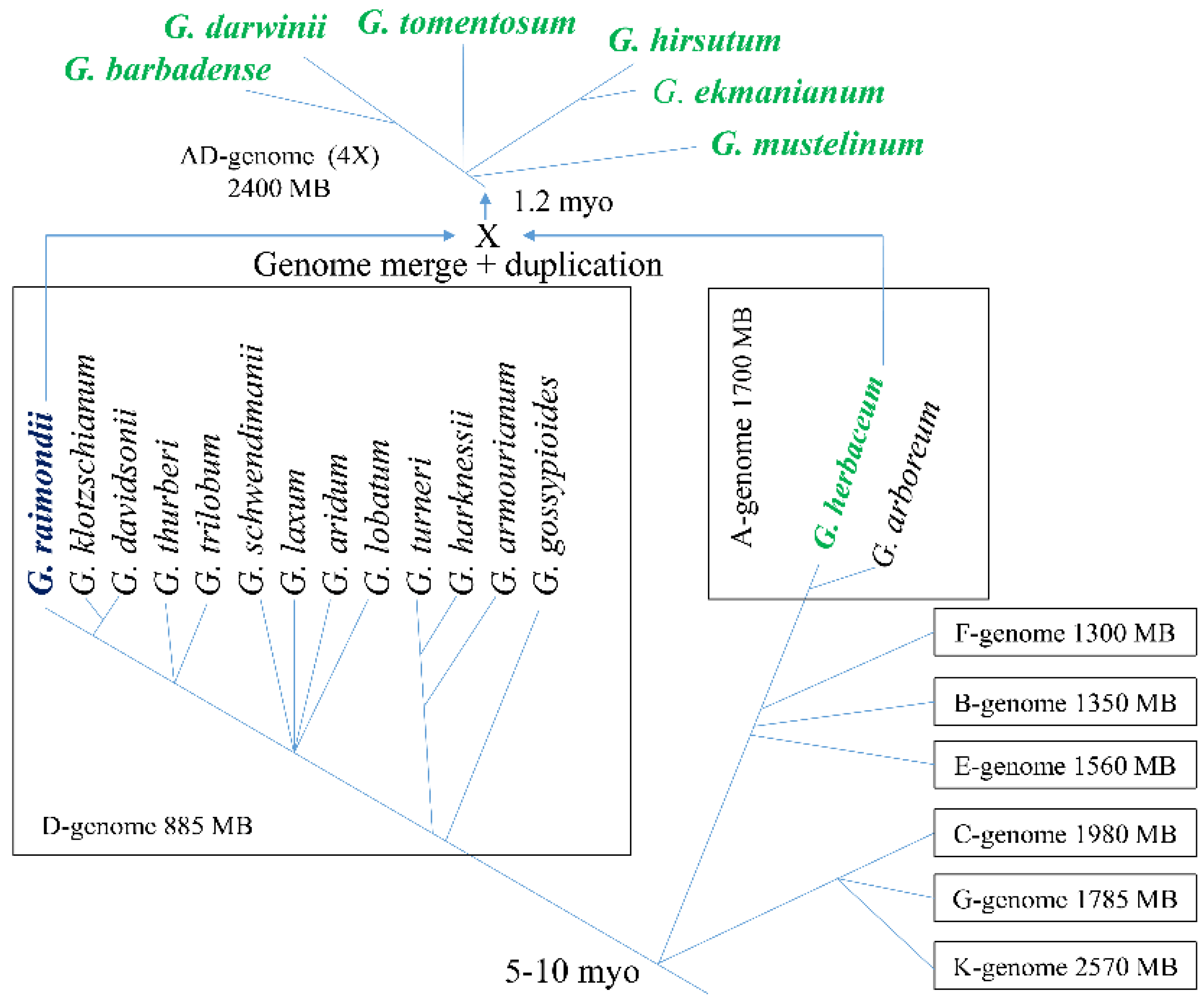 Agronomy 12 03158 g001