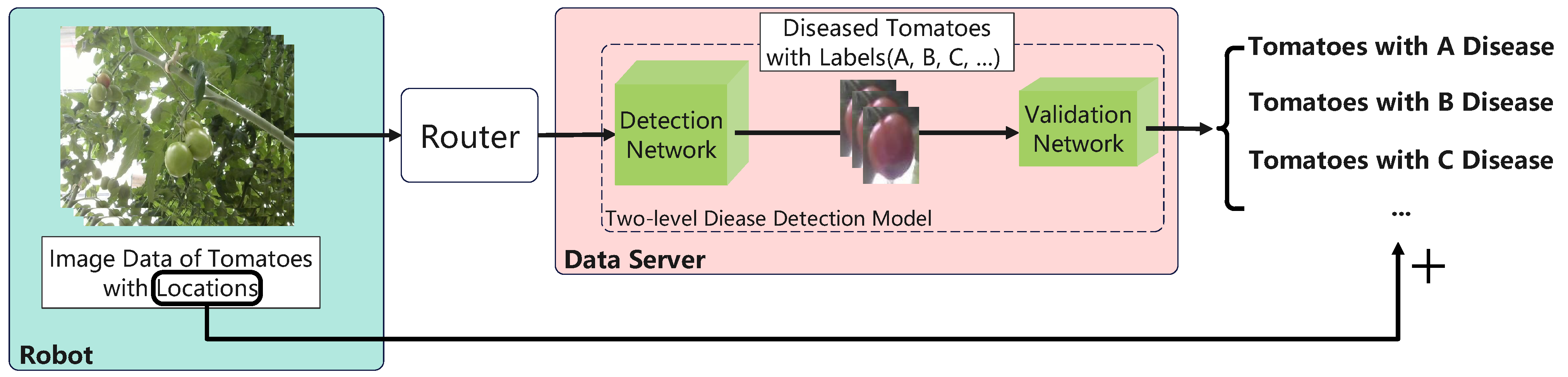 Agronomy 12 03160 g003