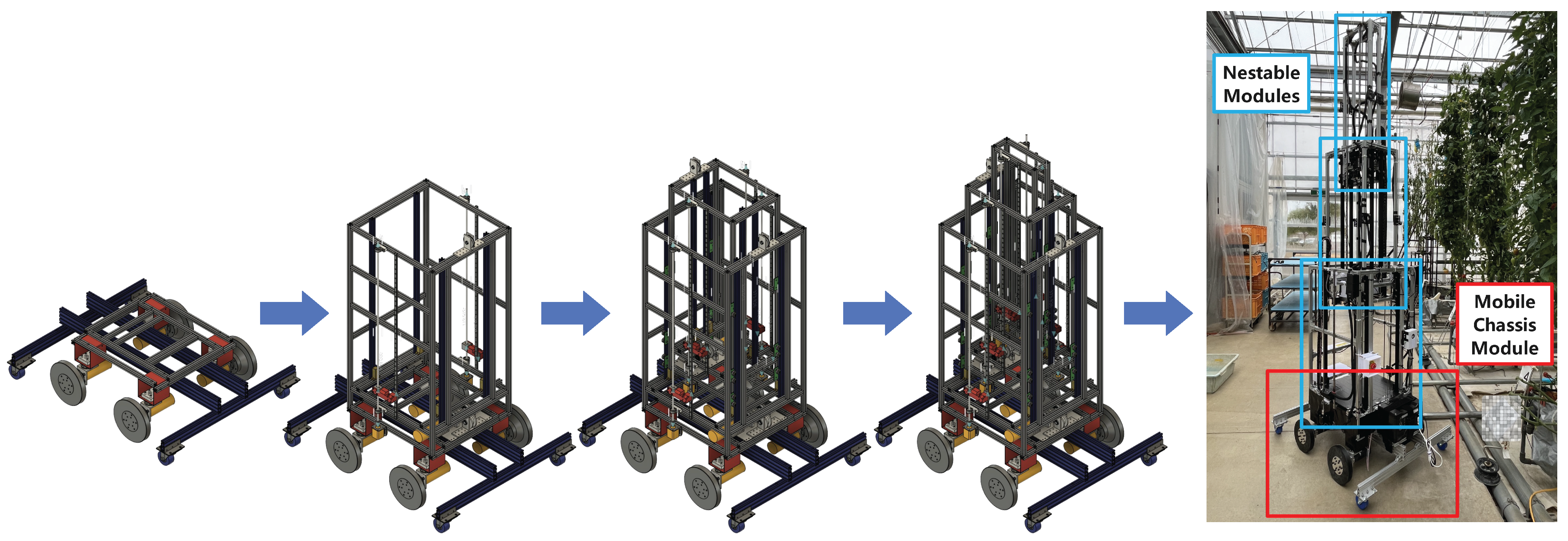 Agronomy 12 03160 g006