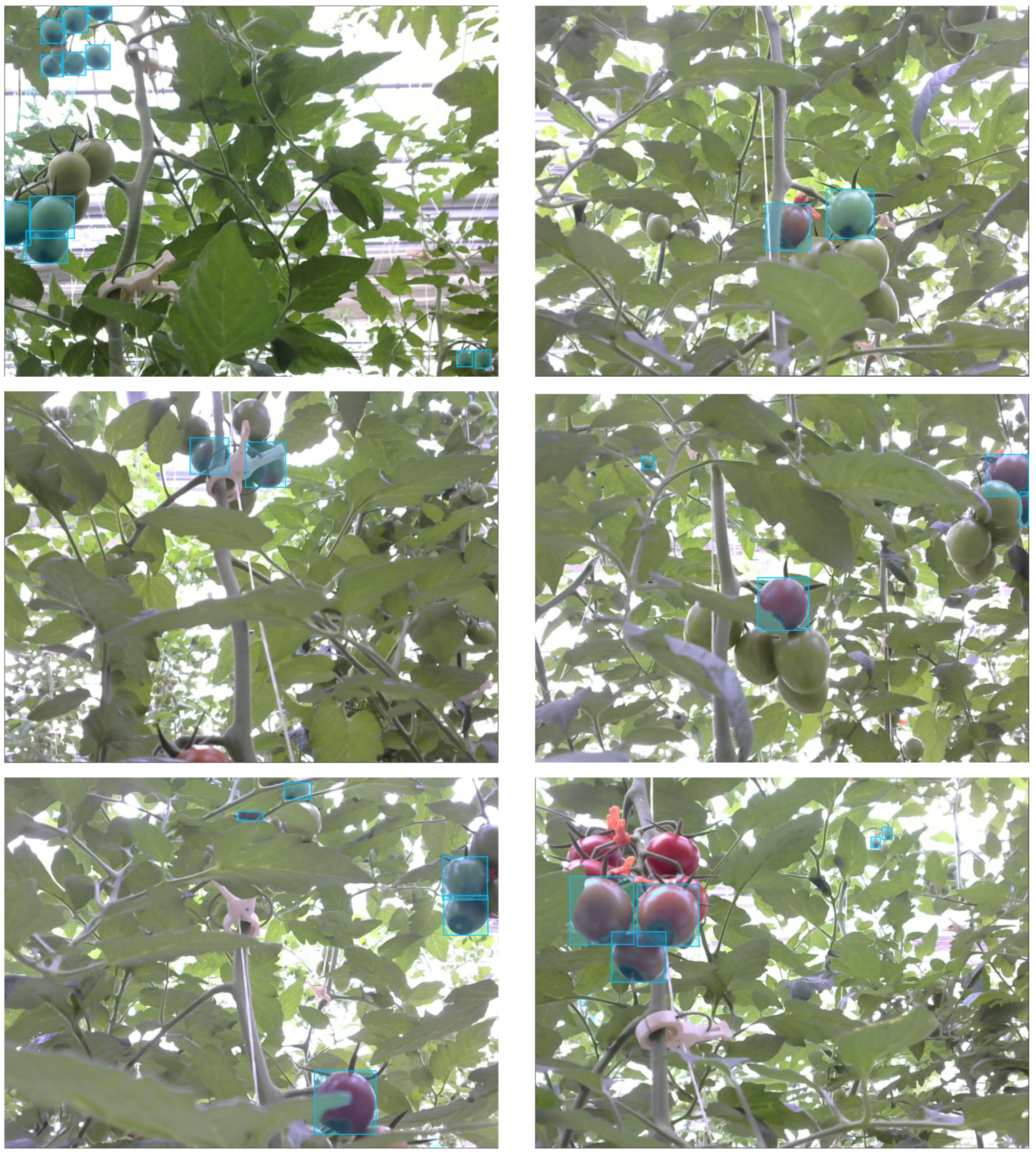 Agronomy 12 03160 g011