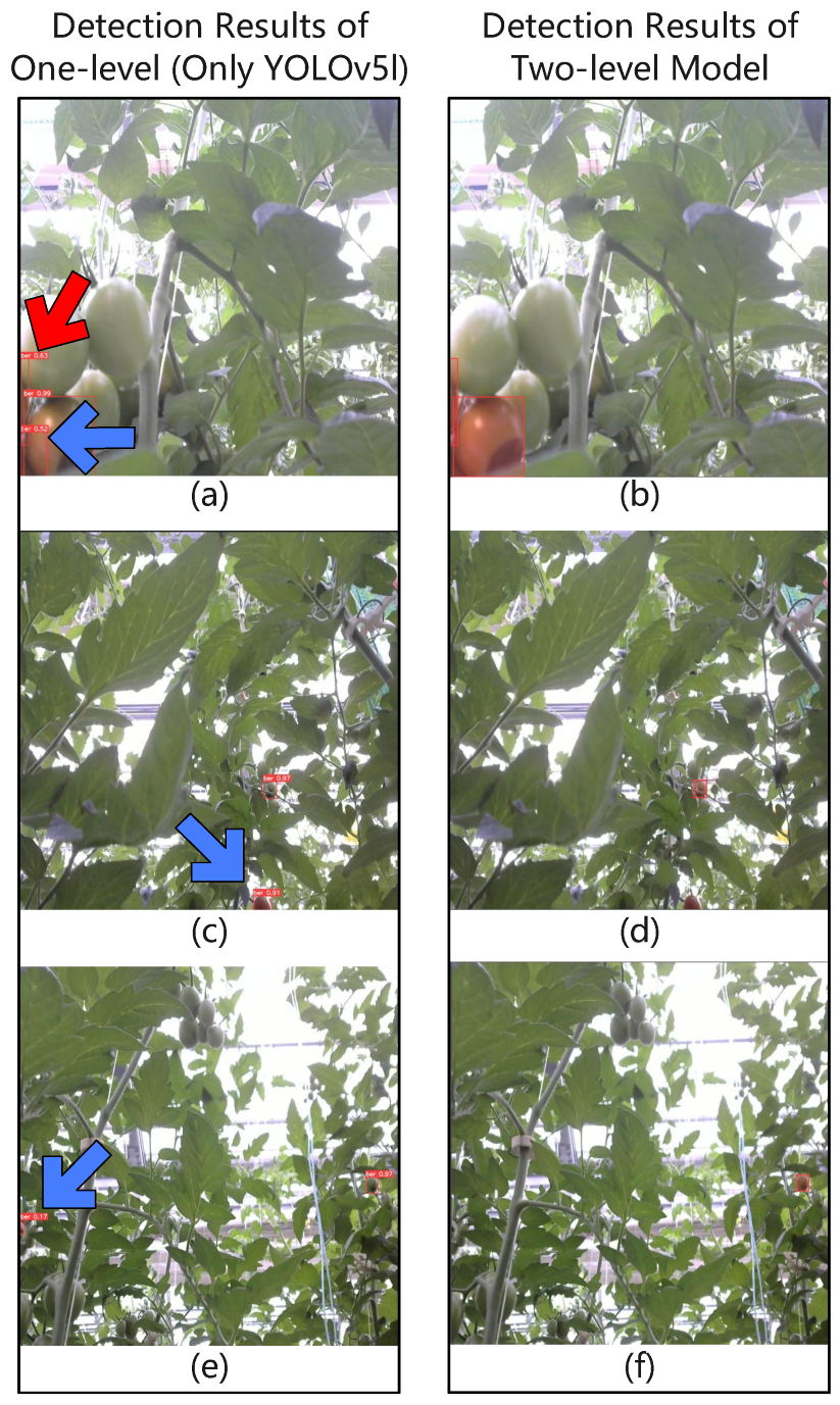 Agronomy 12 03160 g014