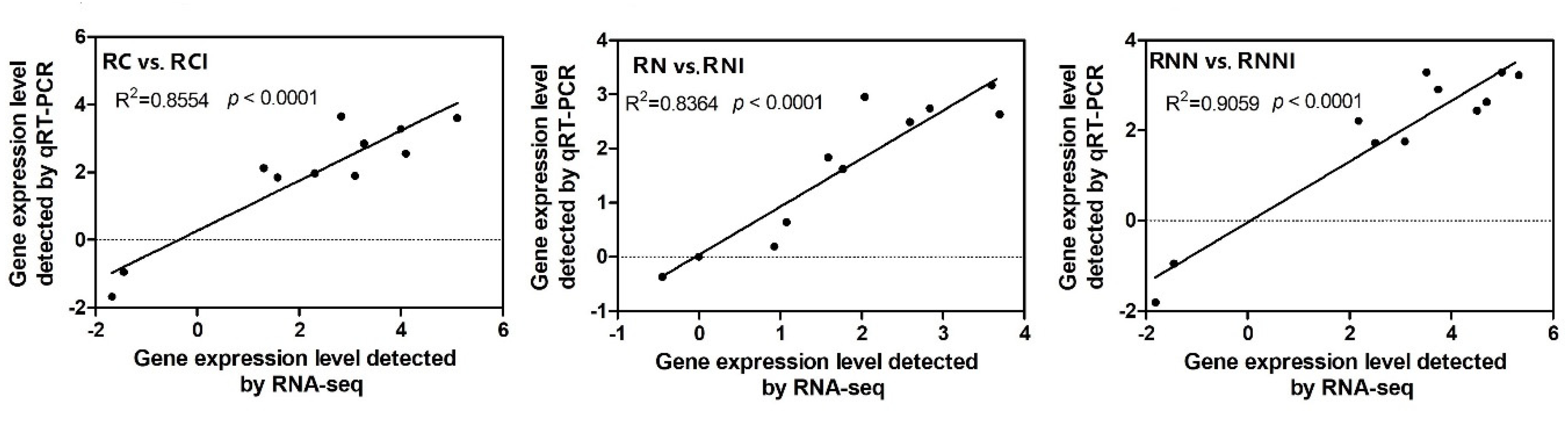 Agronomy 12 03161 g004 Agronomy 12 03161 g004