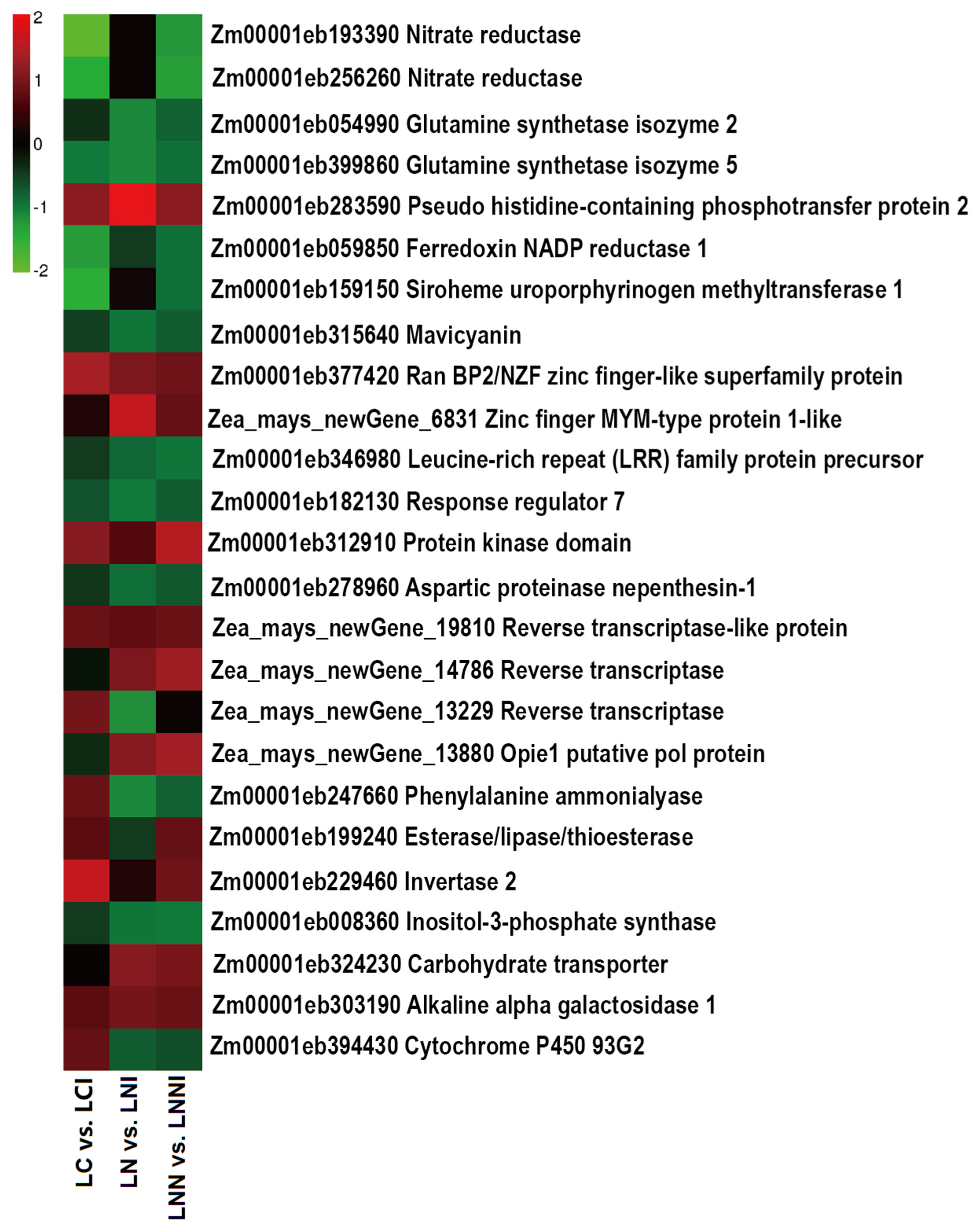 Agronomy 12 03161 g005 Agronomy 12 03161 g005