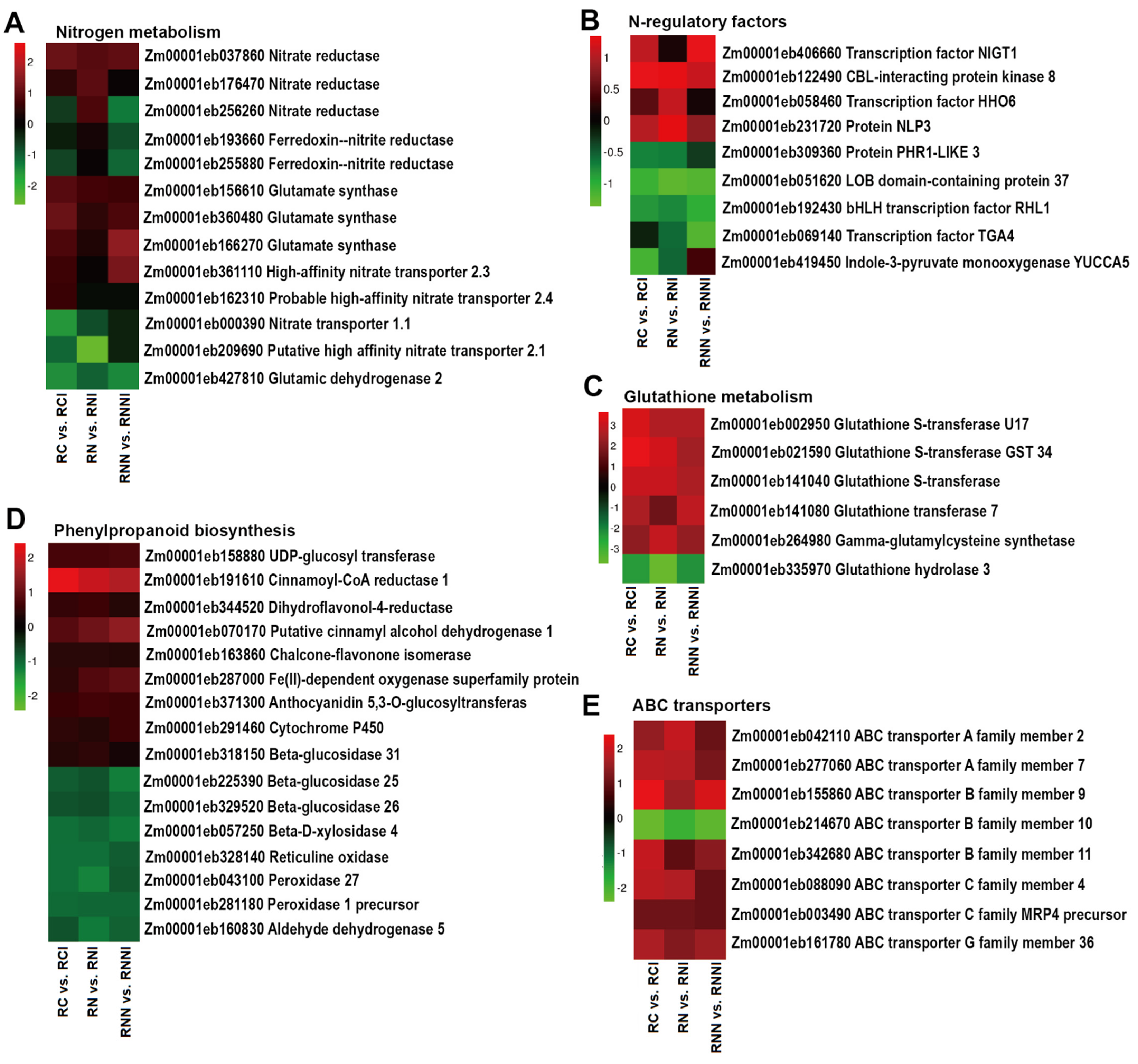 Agronomy 12 03161 g006 Agronomy 12 03161 g006