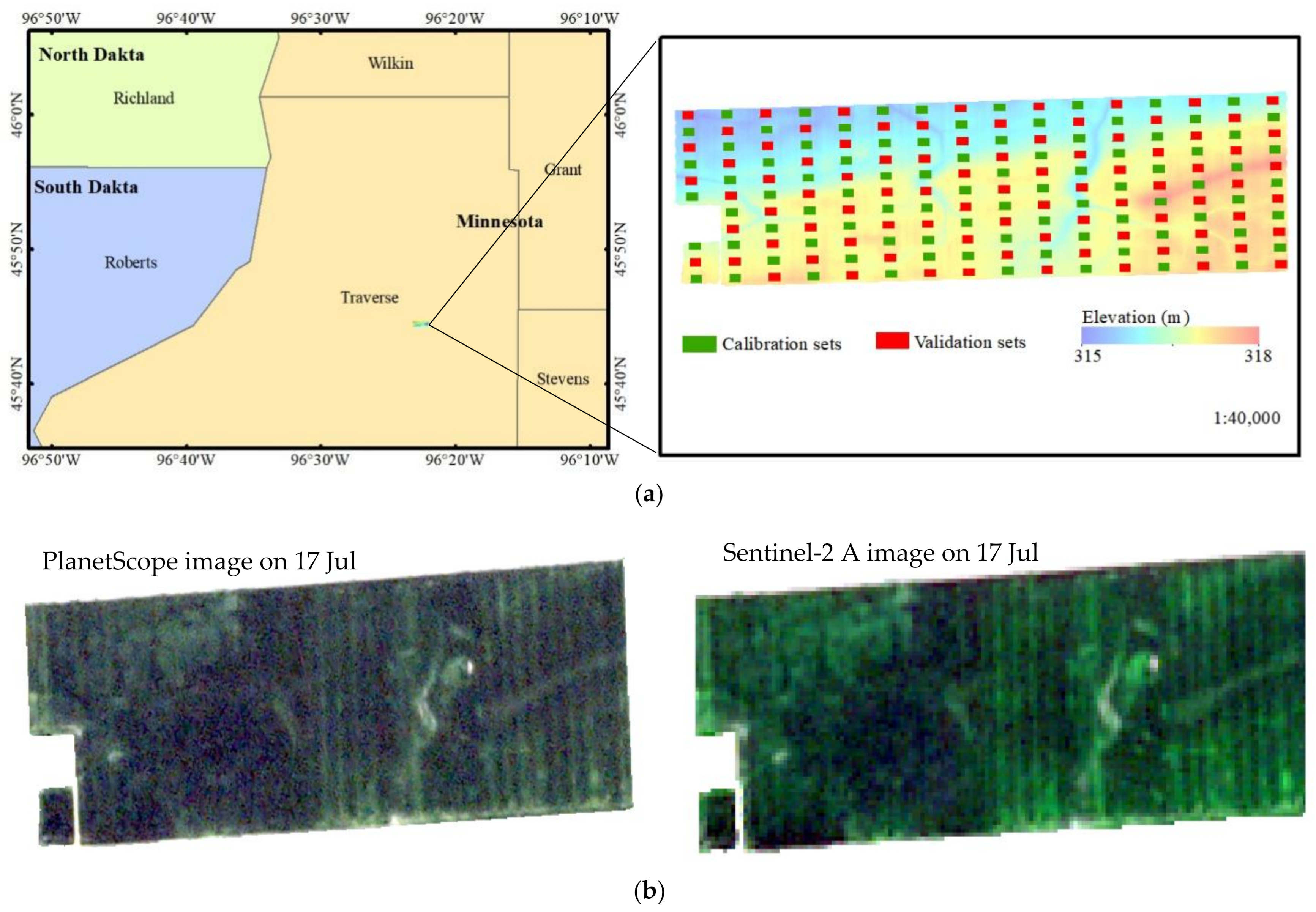 Agronomy 12 03176 g001