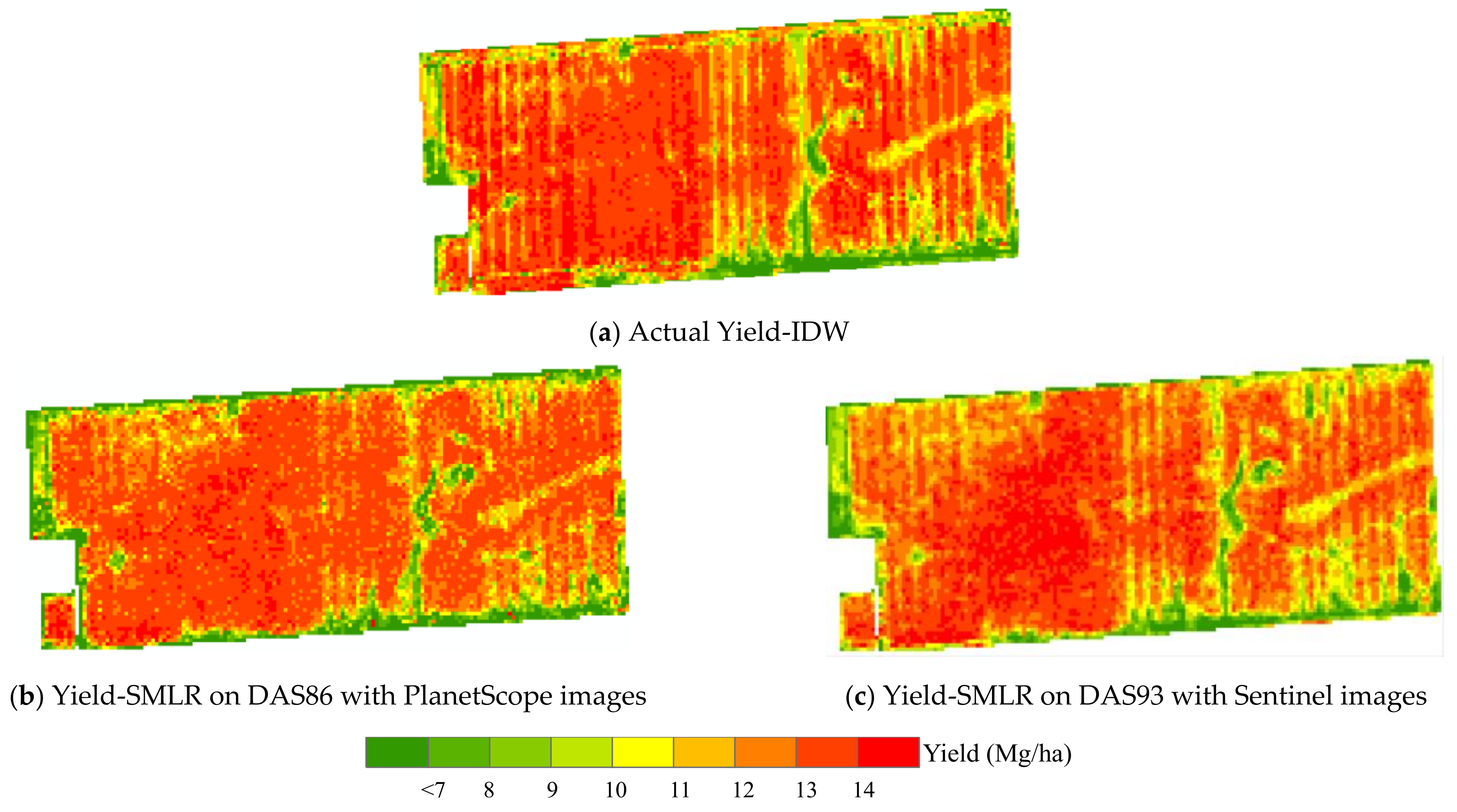 Agronomy 12 03176 g008