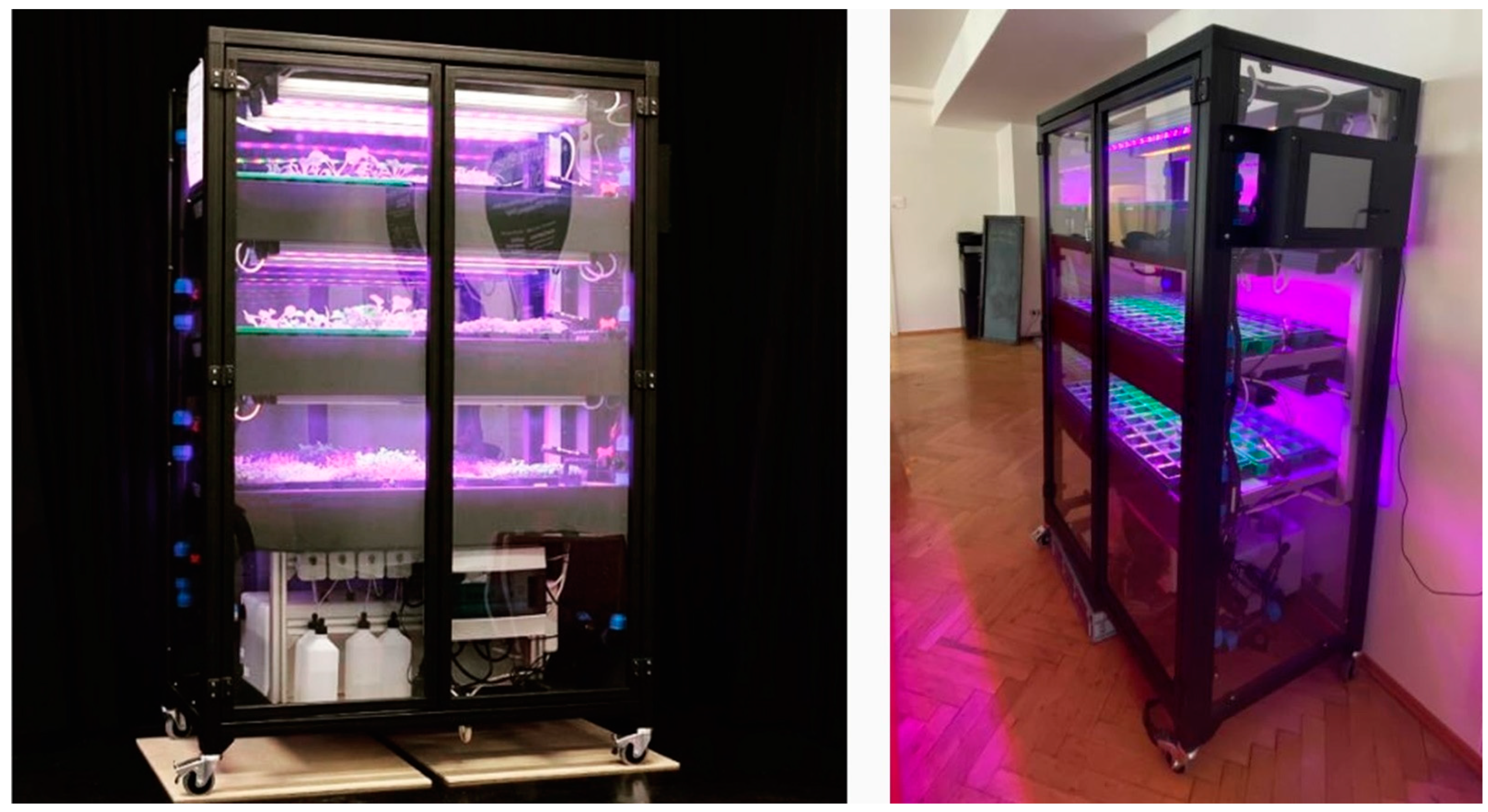 Agronomy 12 03182 g001