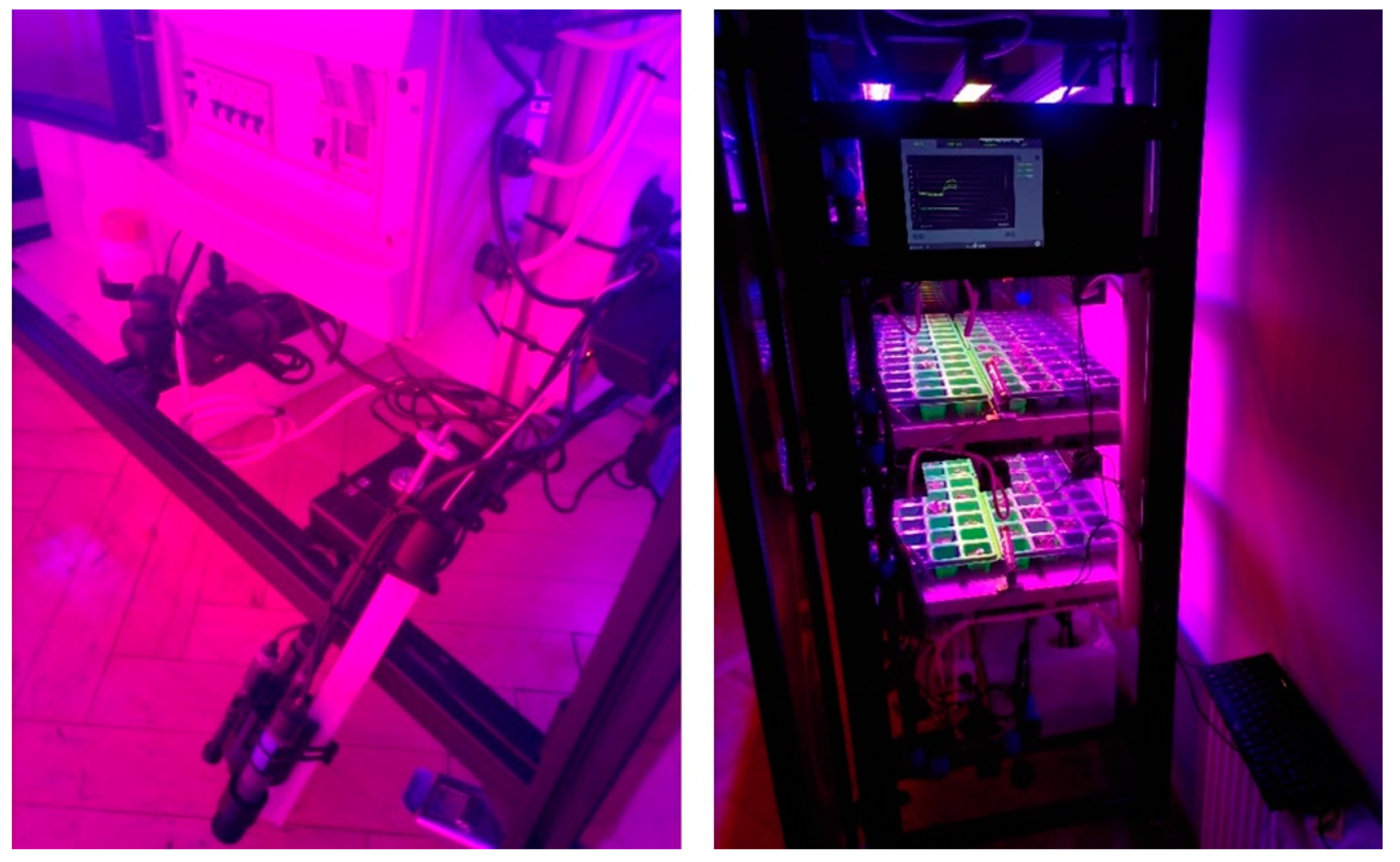 Agronomy 12 03182 g003