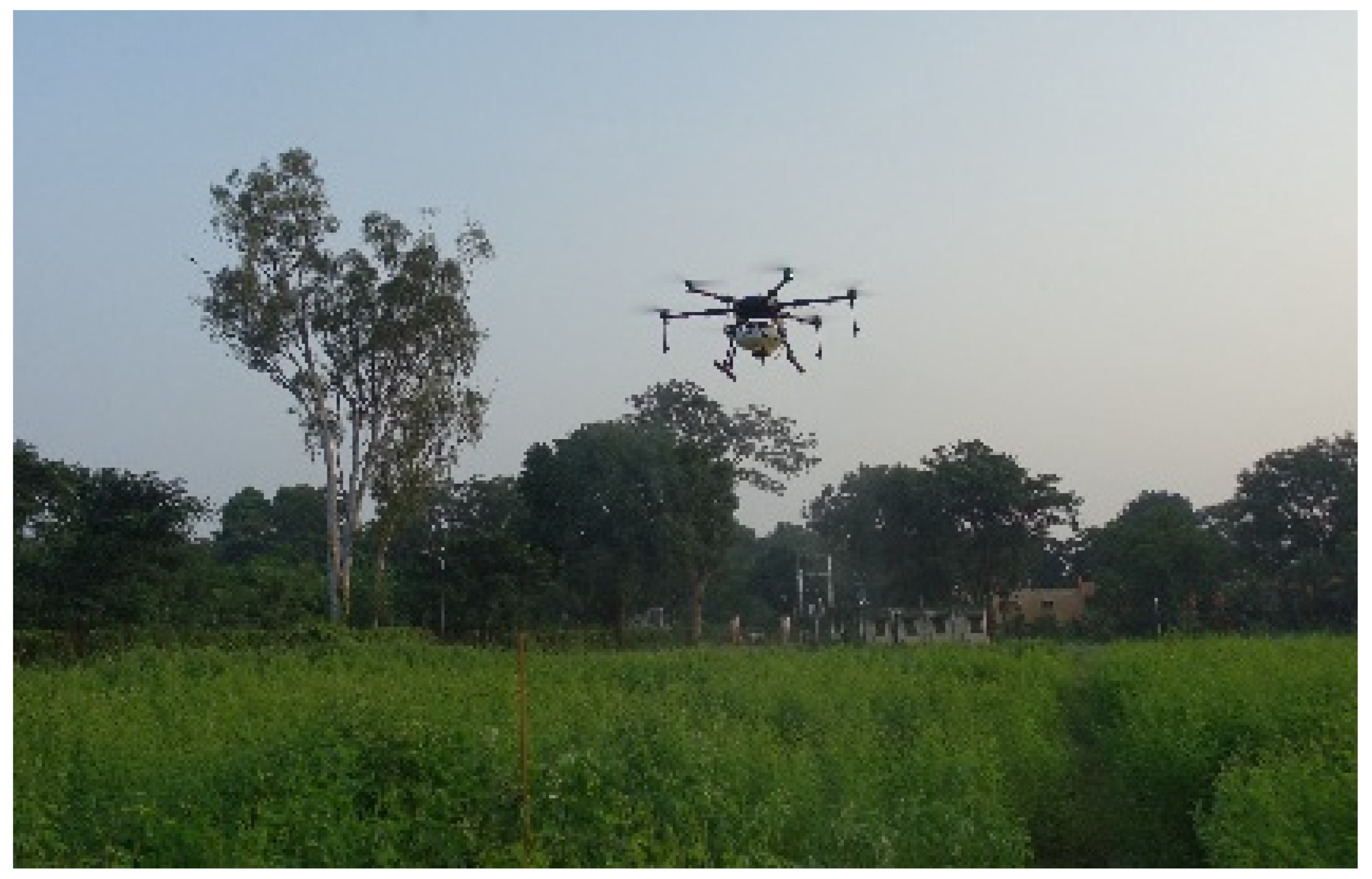 Agronomy 12 03196 g002