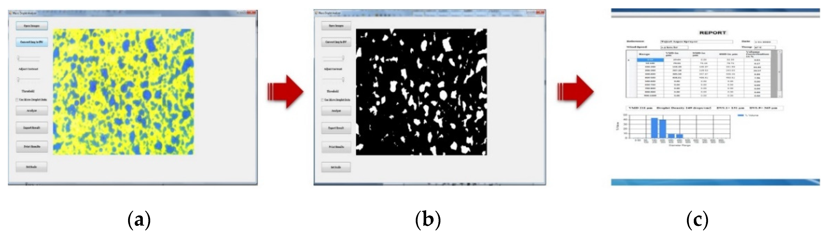 Agronomy 12 03196 g010