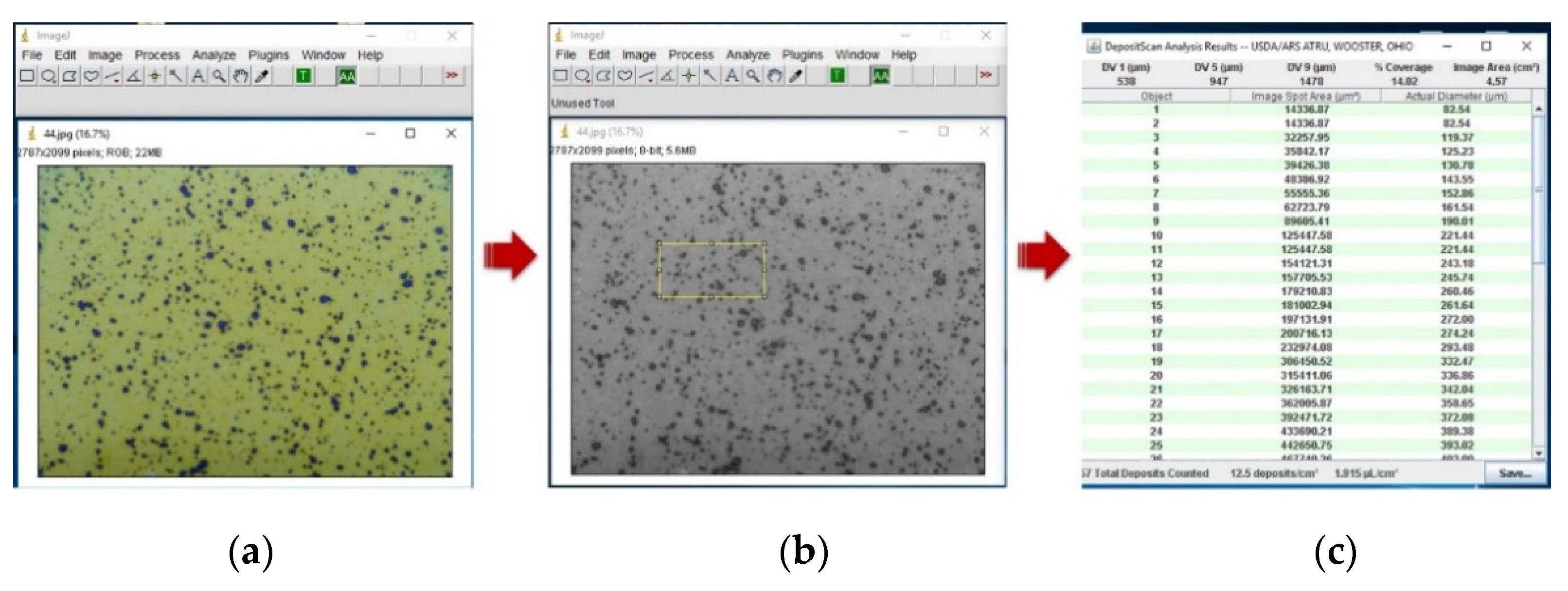 Agronomy 12 03196 g011