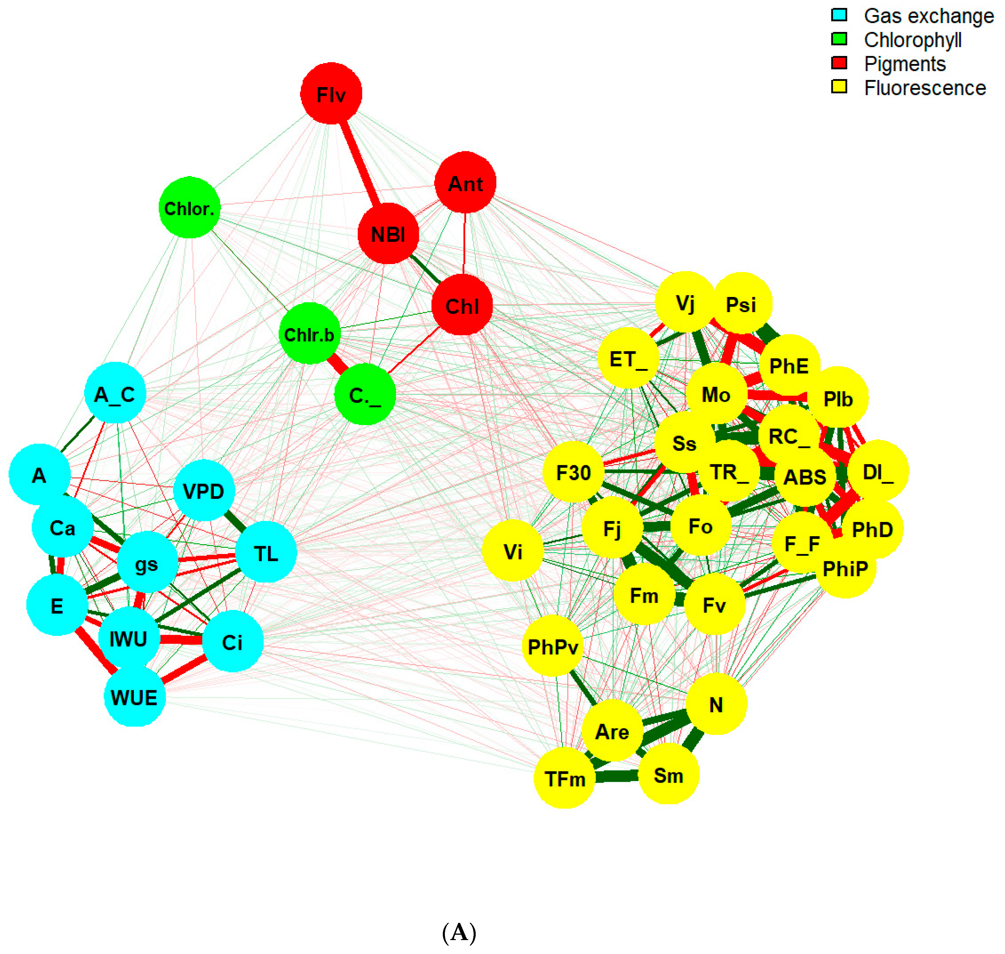 Agronomy 12 03197 g004a