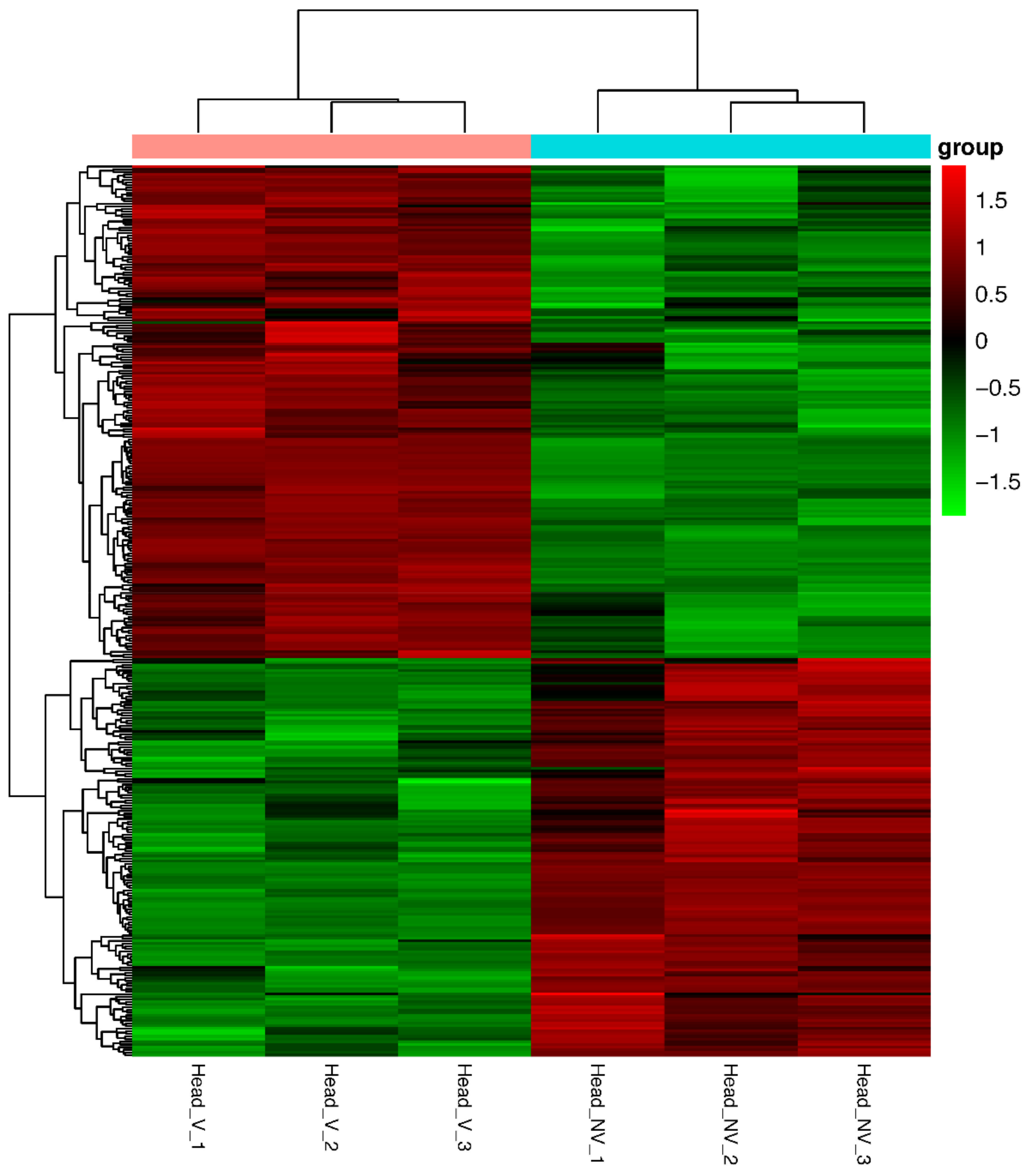 Agronomy 12 03202 g004 Agronomy 12 03202 g004
