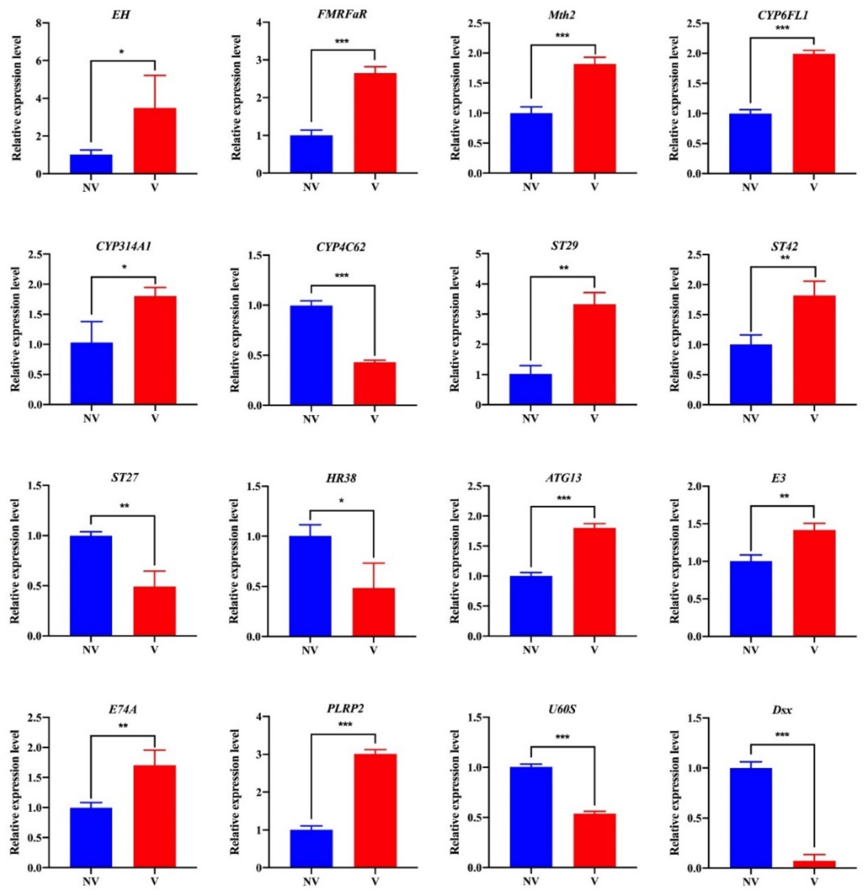 Agronomy 12 03202 g007 Agronomy 12 03202 g007