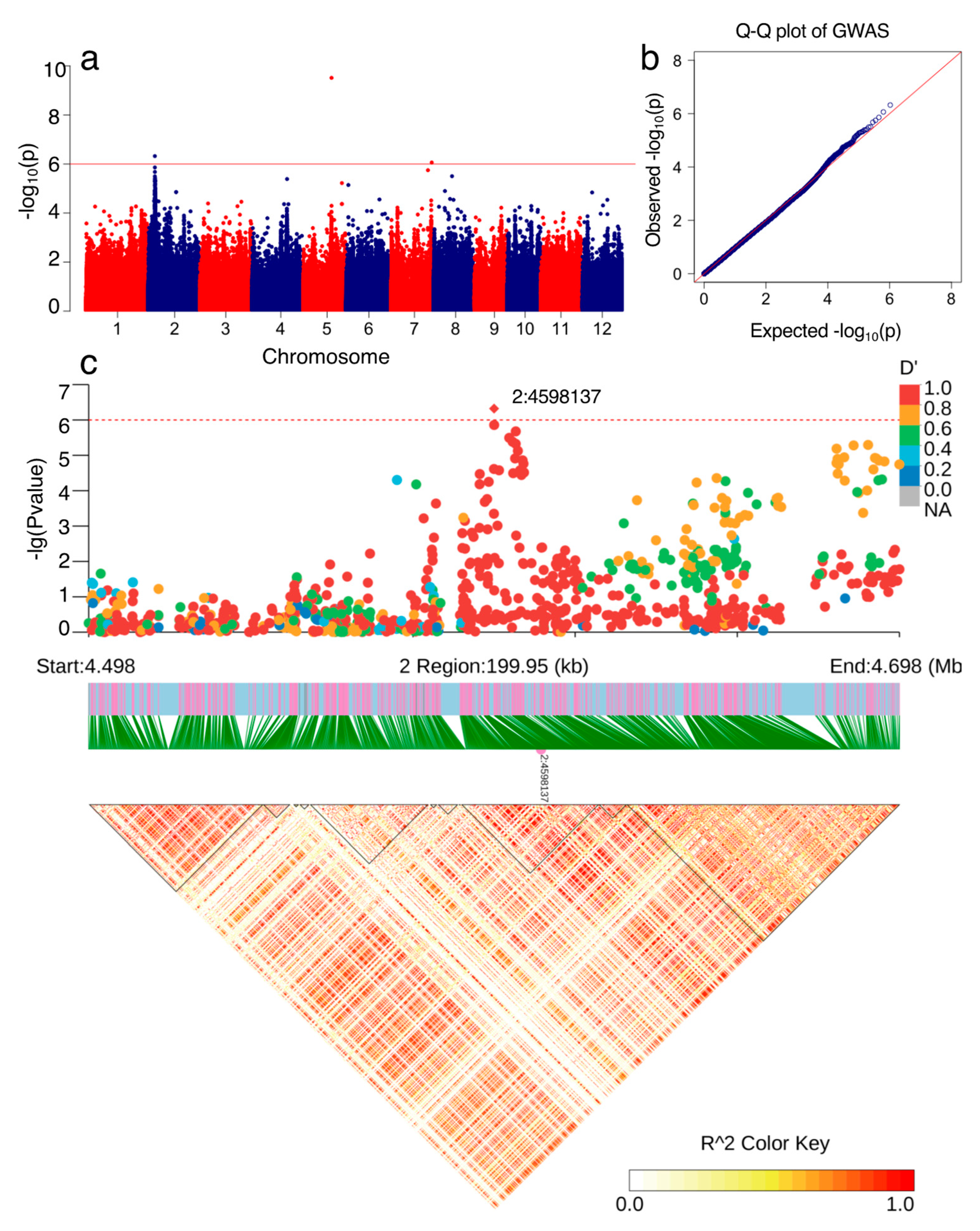 Agronomy 12 03216 g003 Agronomy 12 03216 g003