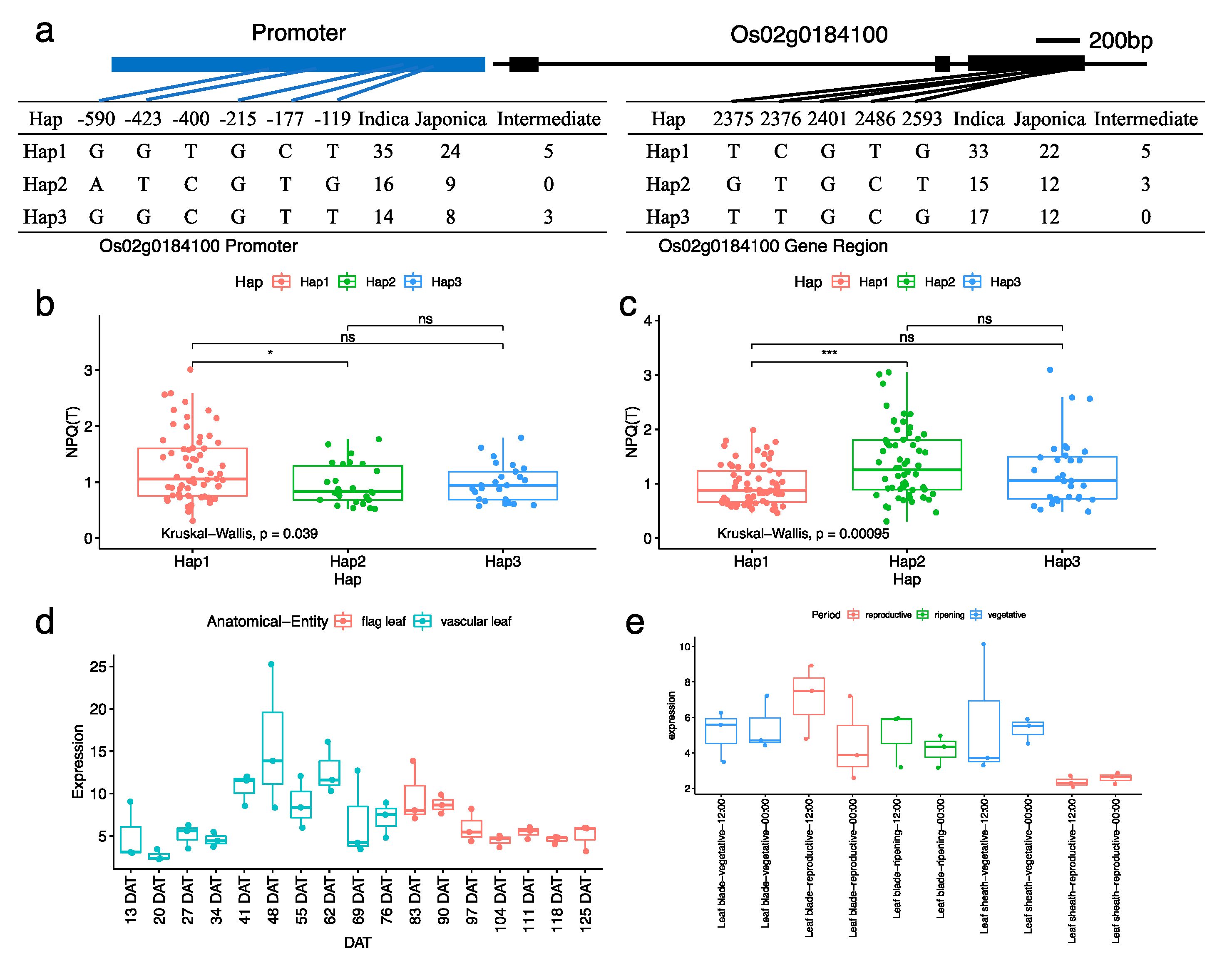 Agronomy 12 03216 g004 Agronomy 12 03216 g004