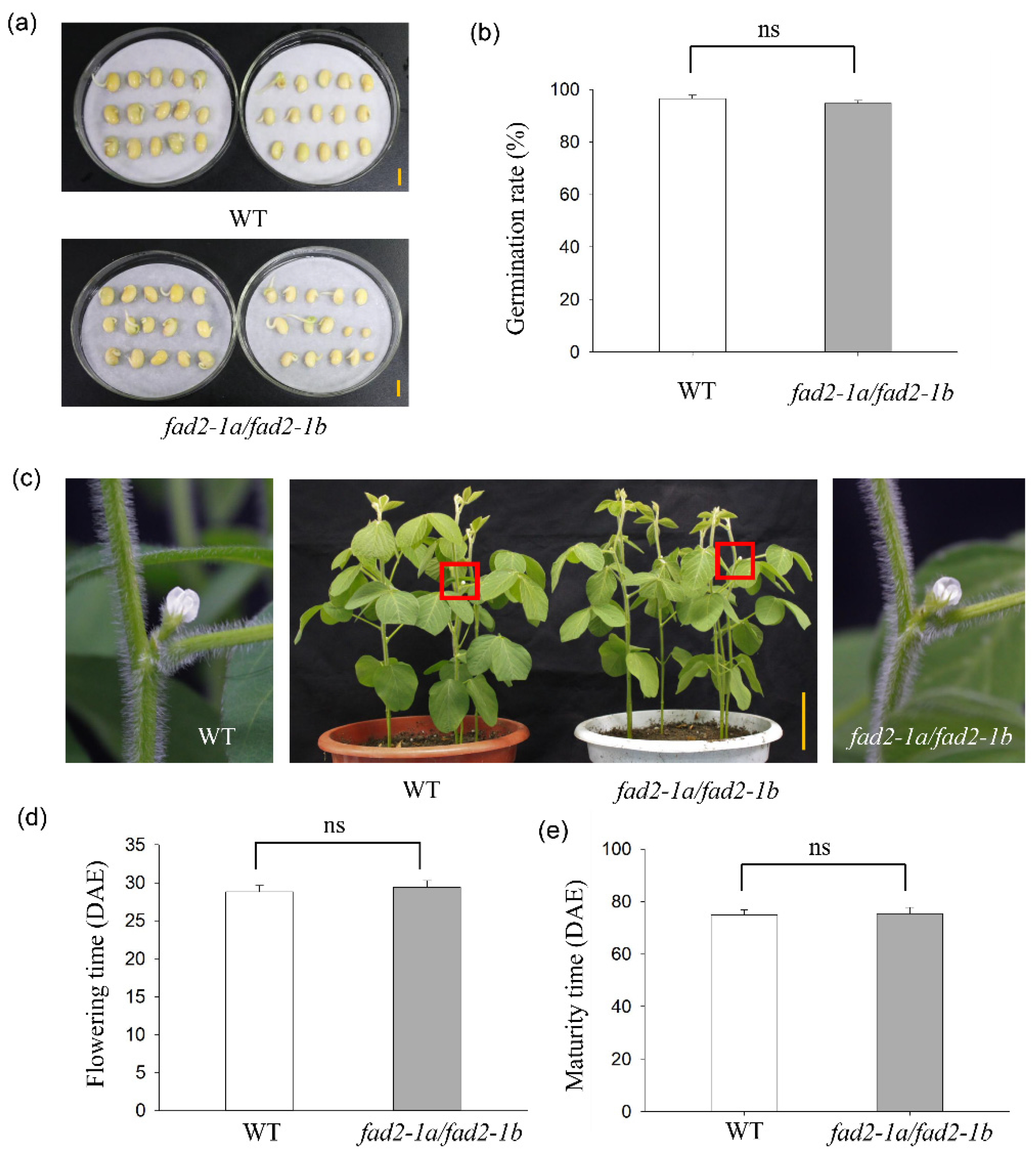 Agronomy 12 03218 g004