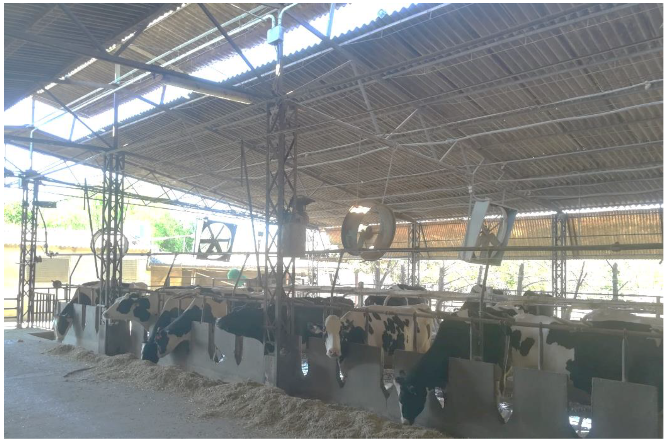 Agronomy 13 00005 g001 Agronomy 13 00005 g001