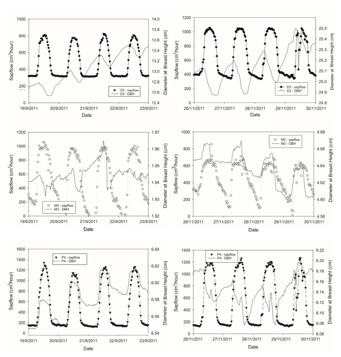 Agronomy 13 00008 g006